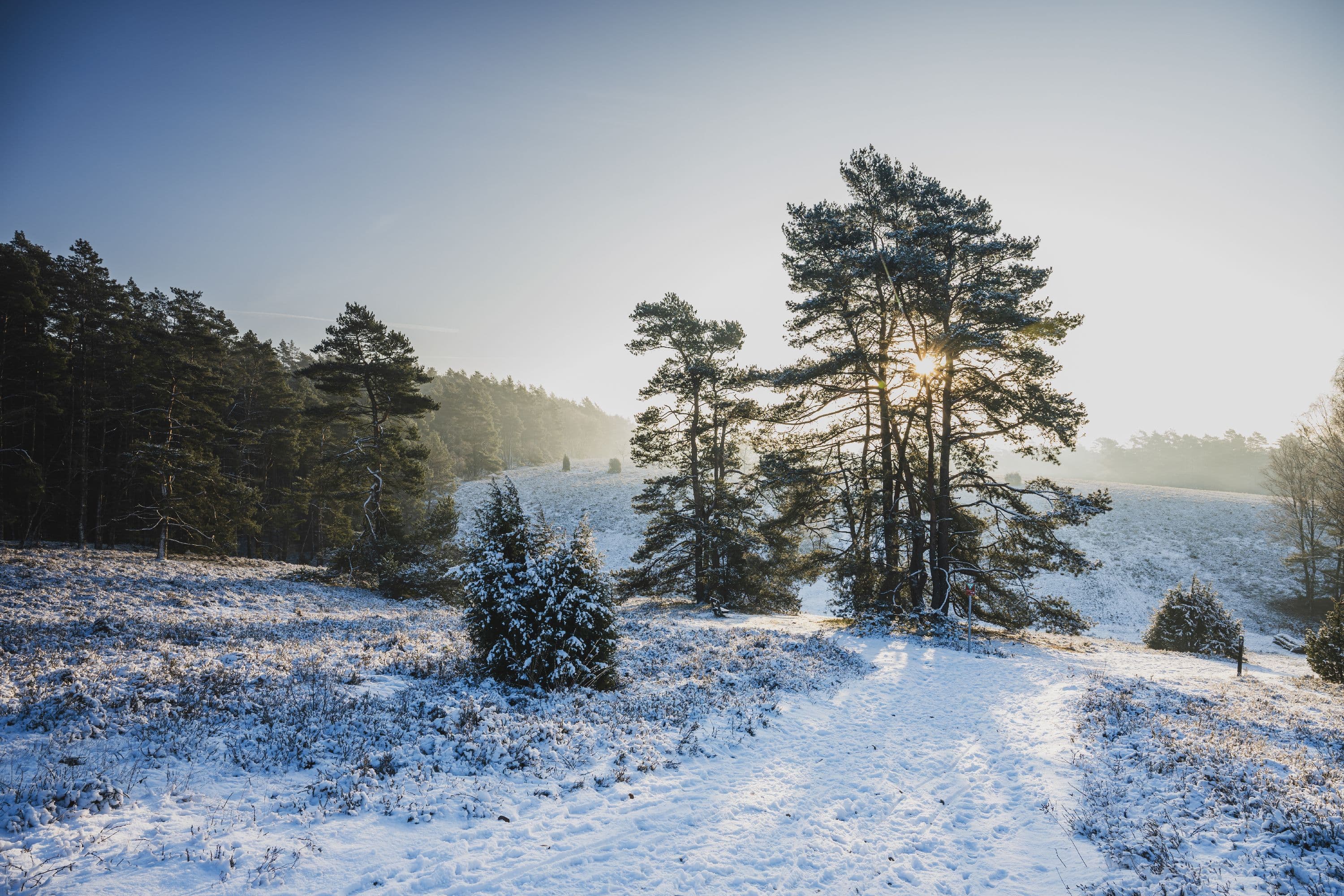 Tiefental im Schnee