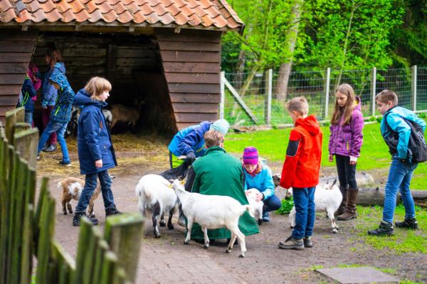 Kinder-Ferienprogramm: Ferienabenteuer im Wildpark Müden