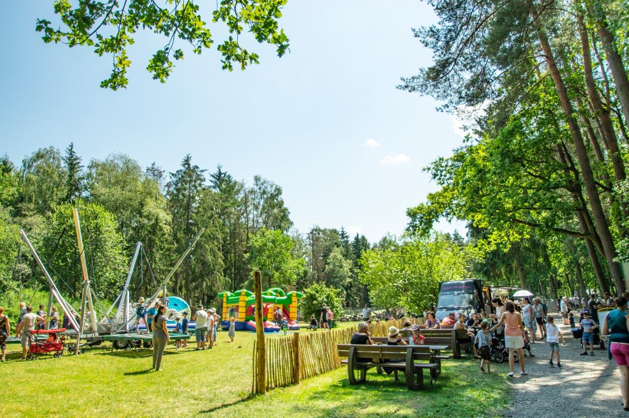 Kindertag im Wildpark Müden am 09.06.2024
