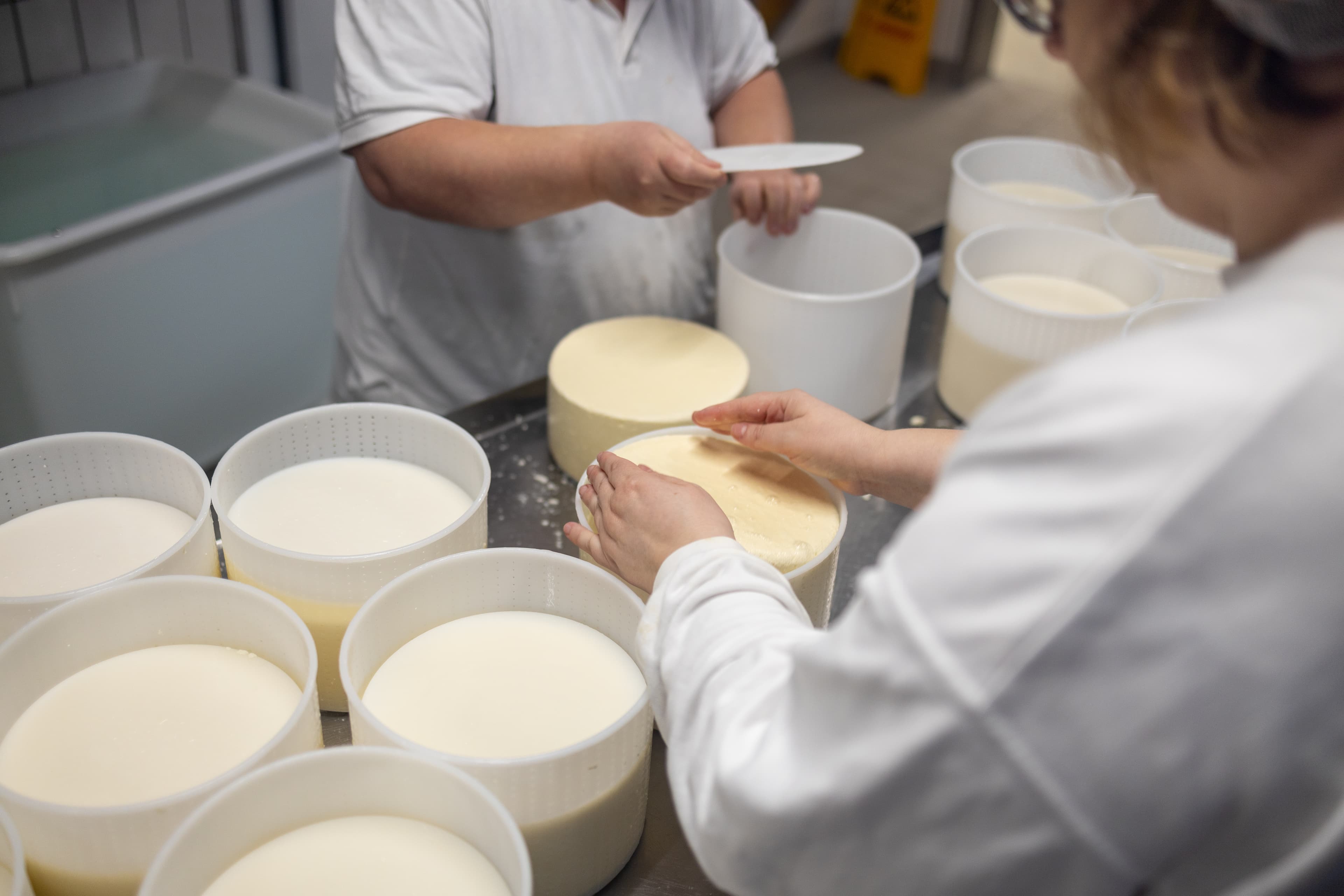 Käse-Herstellung SOS-Hof Bockum