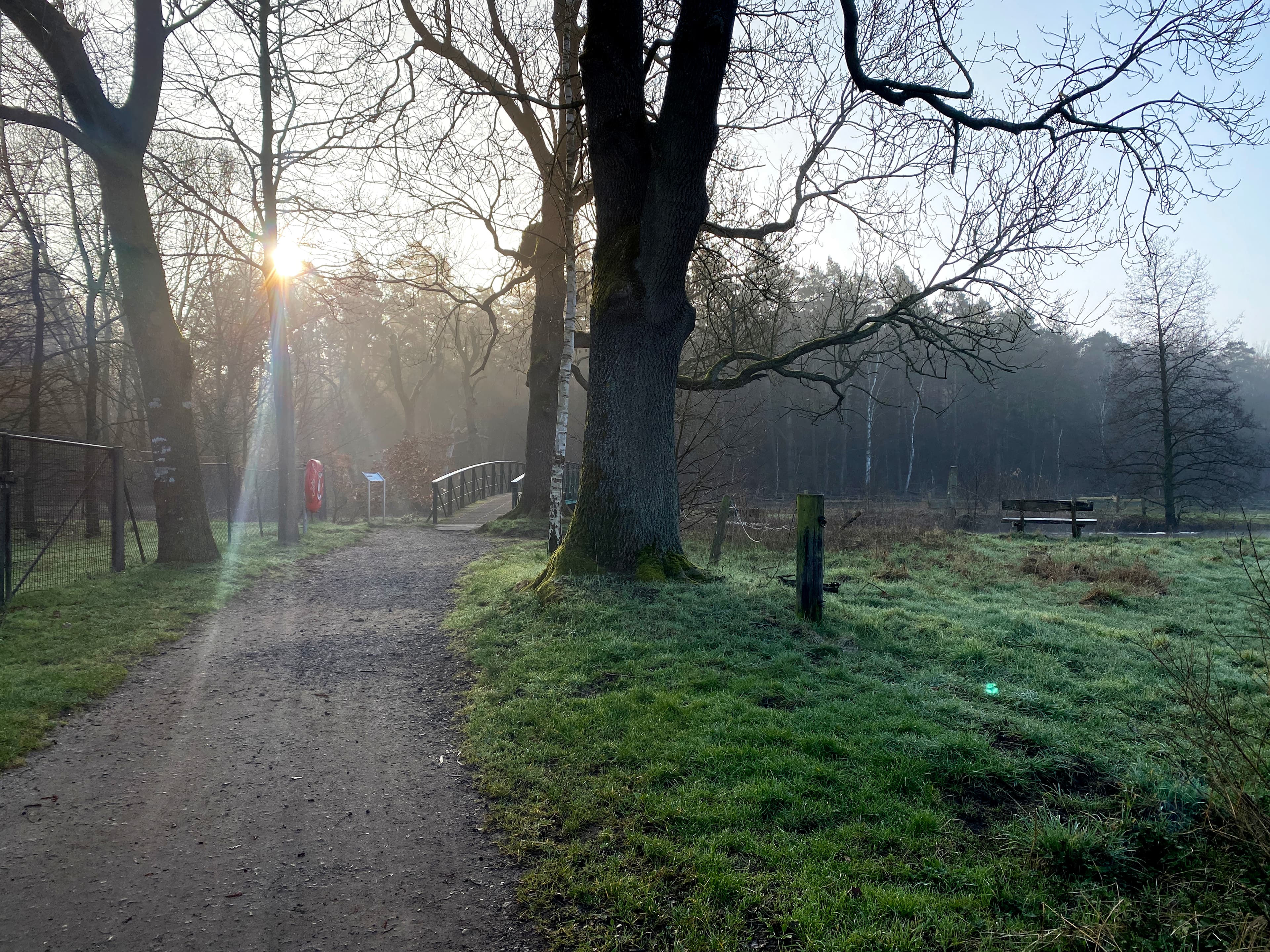 Teufelsbrücke Lüneburg am Morgen