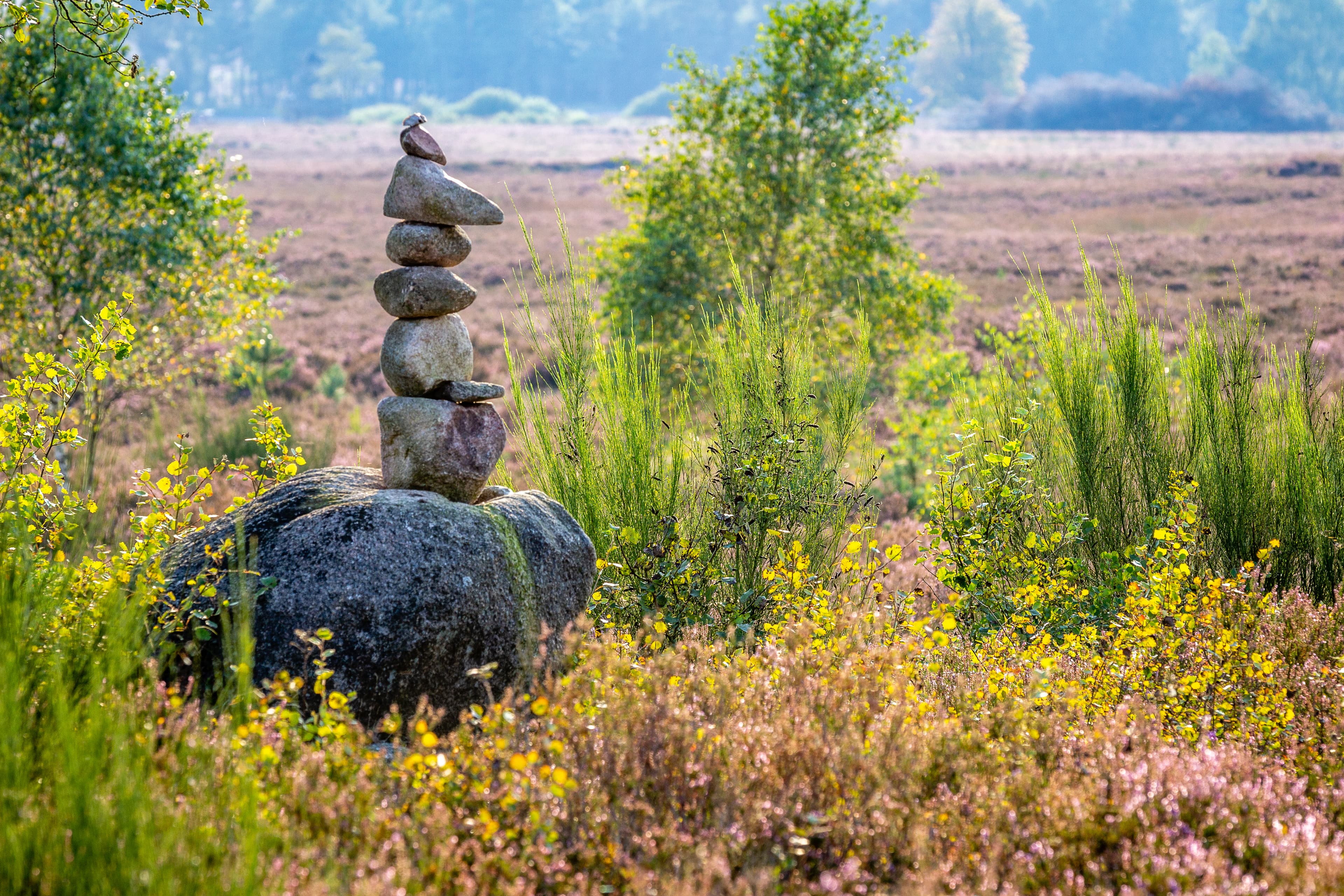 Steinturm in der Behringer Heide