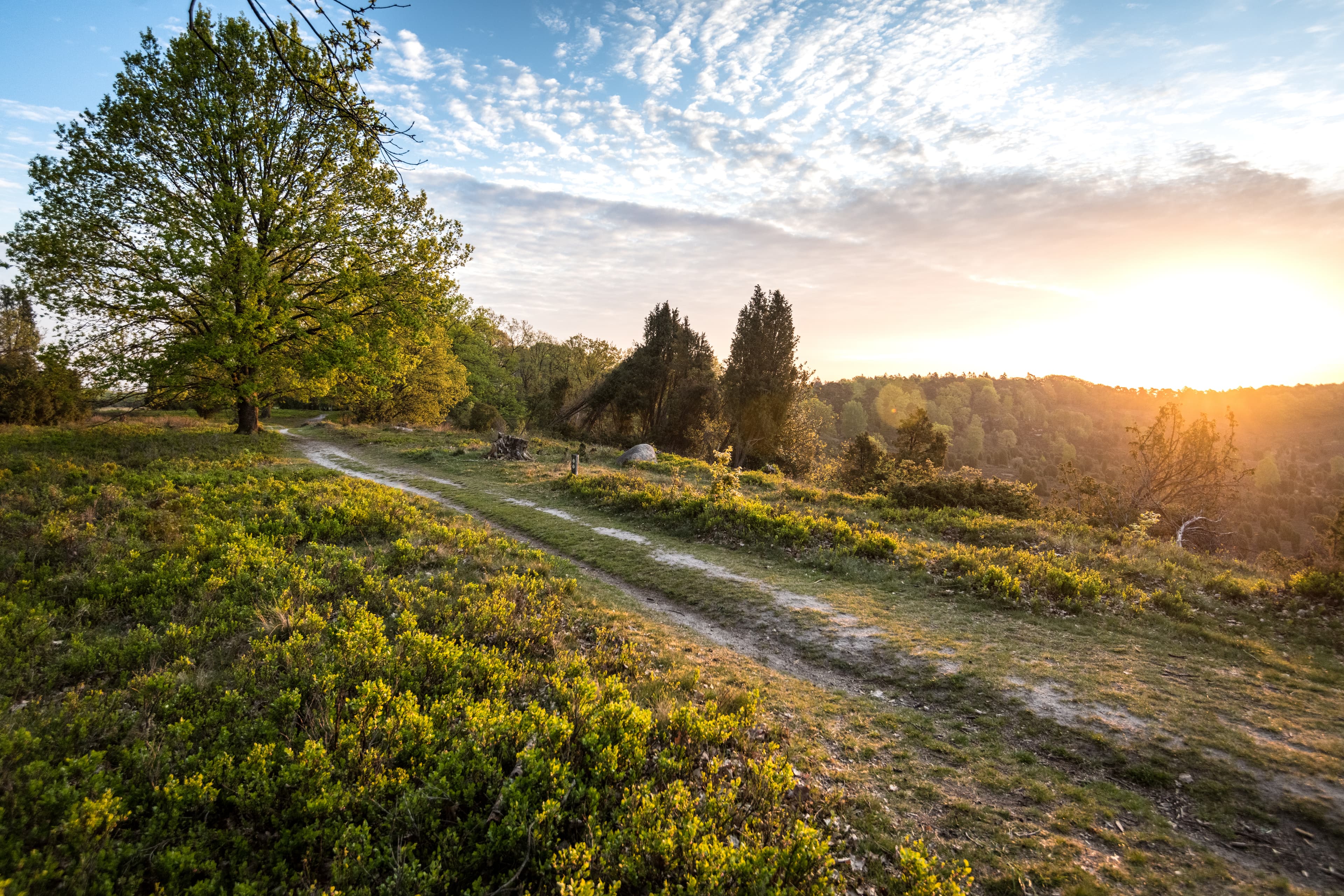 Totengrund im Frühling