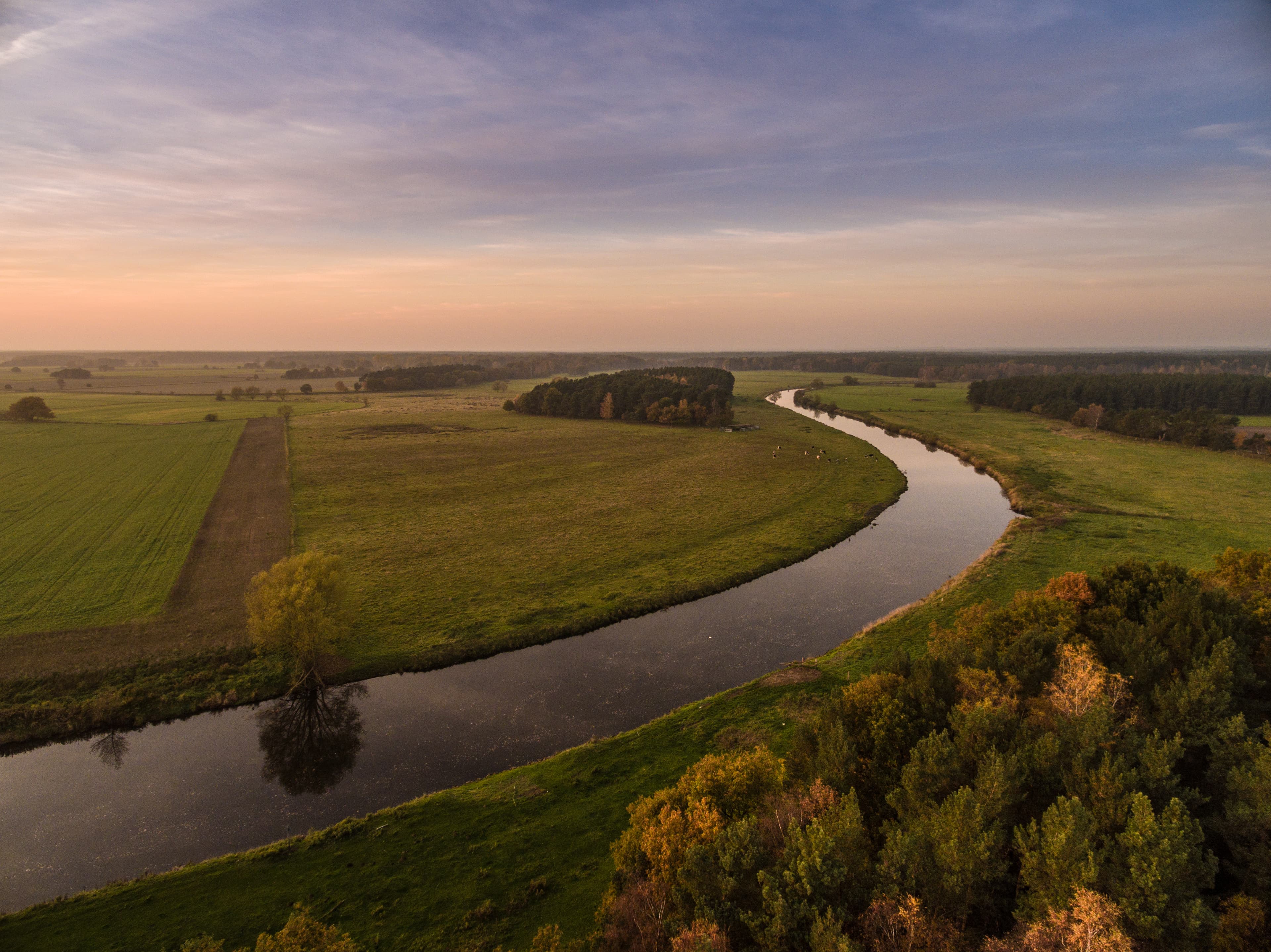 Die Aller bei Wietze im Herbst