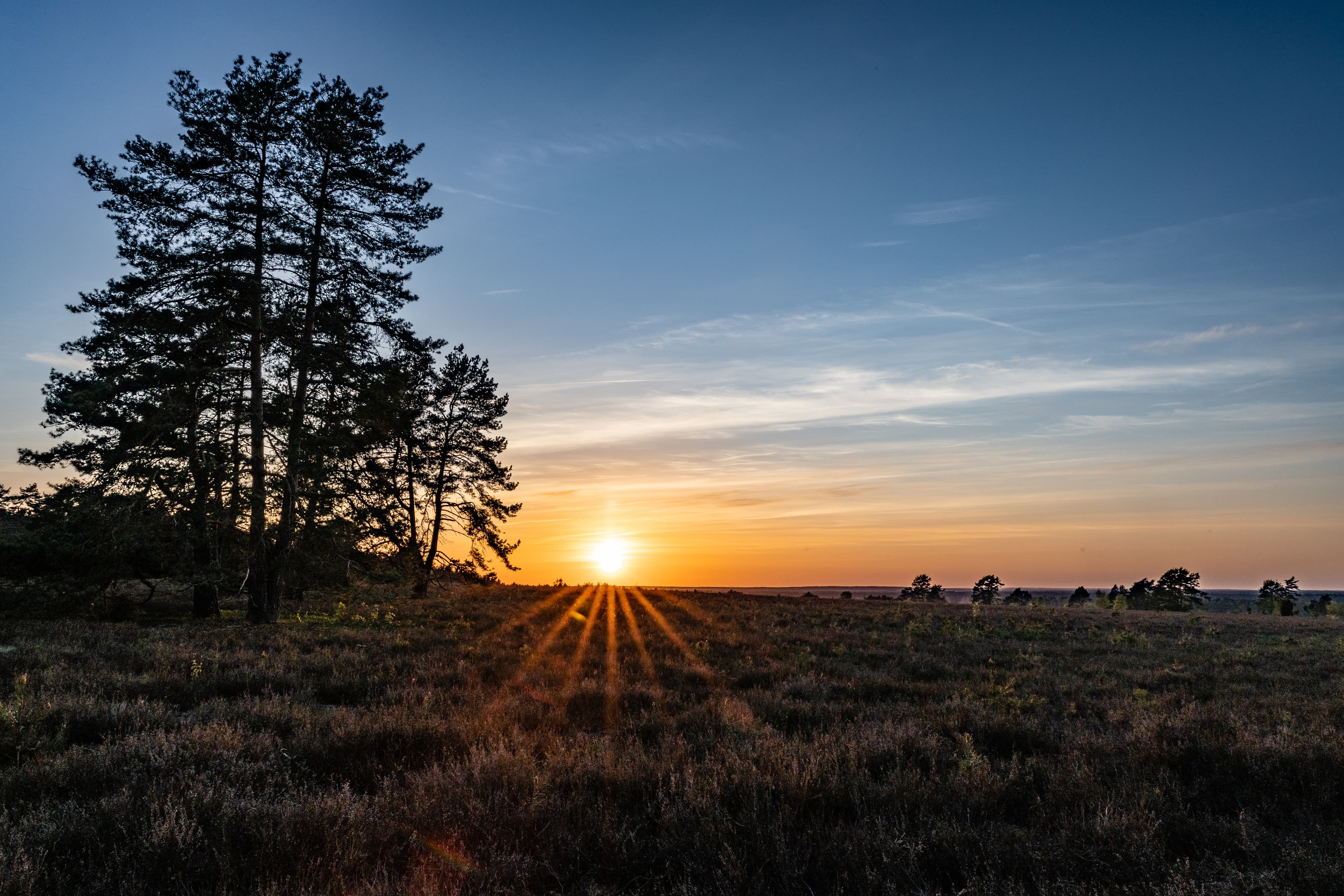 Sonnenaufgang Heidefläche Gerdehaus bei Faßberg