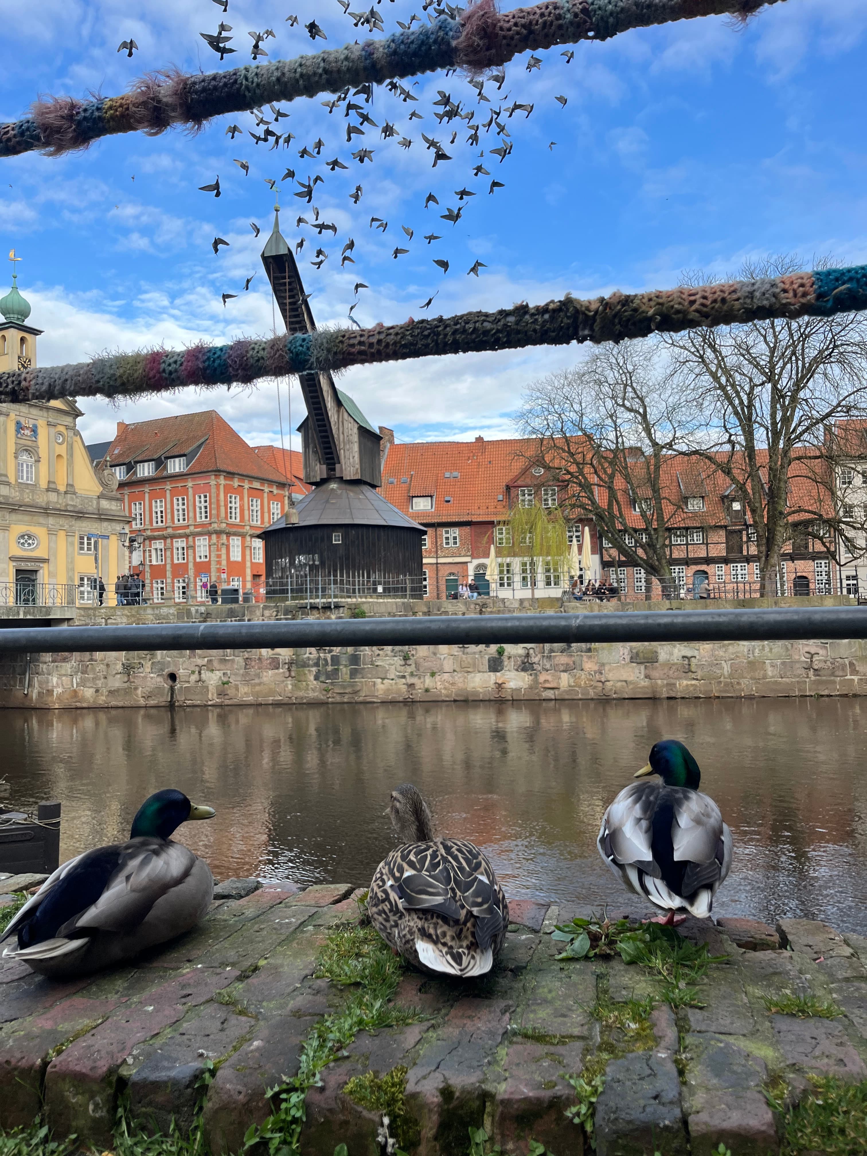 Der alte Kran am Stint in Lüneburg