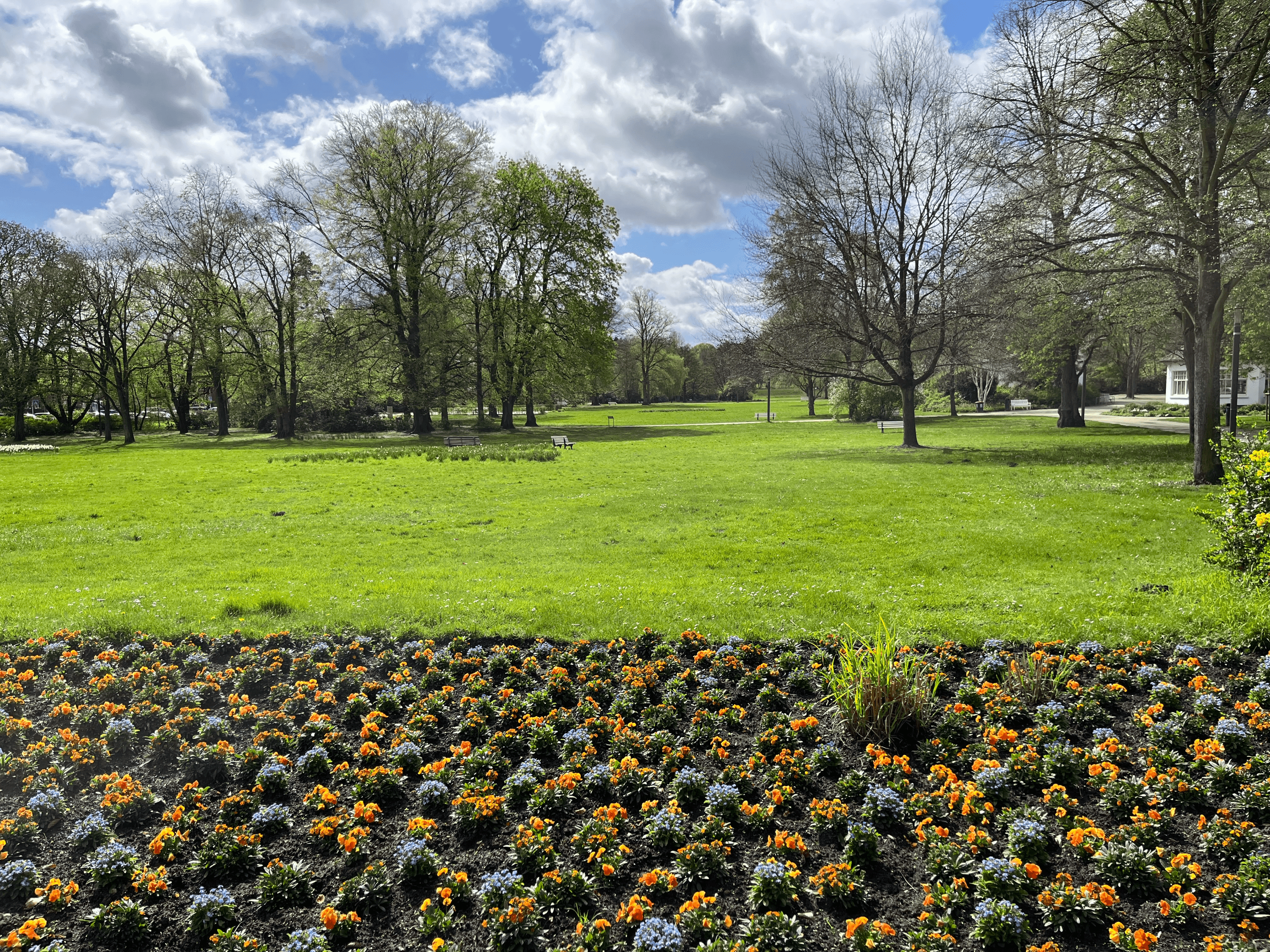 Weiter Blick in den Kurpark Lüneburg