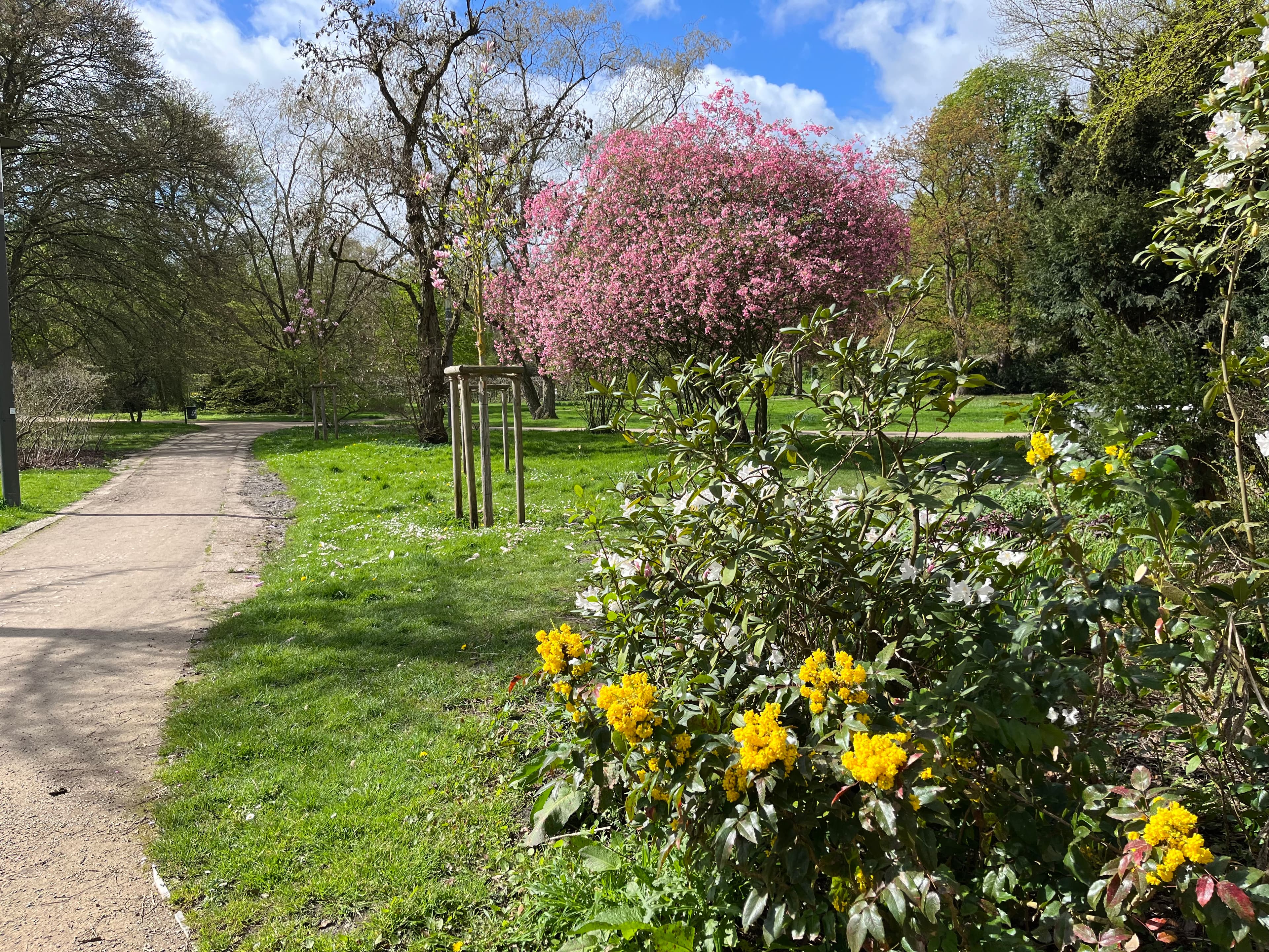 Frühling im kurpark lüneburg