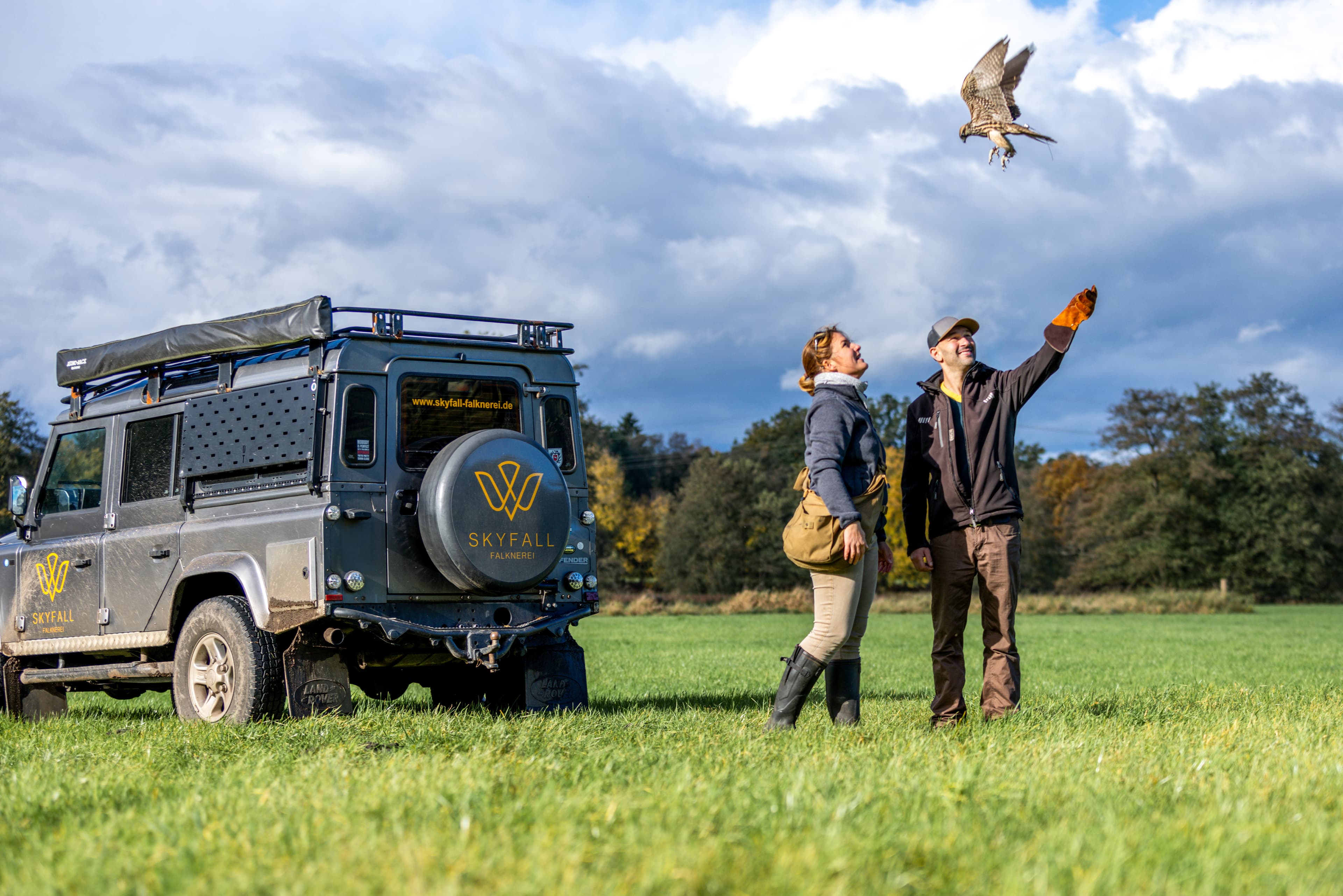 Skyfall Falknerei