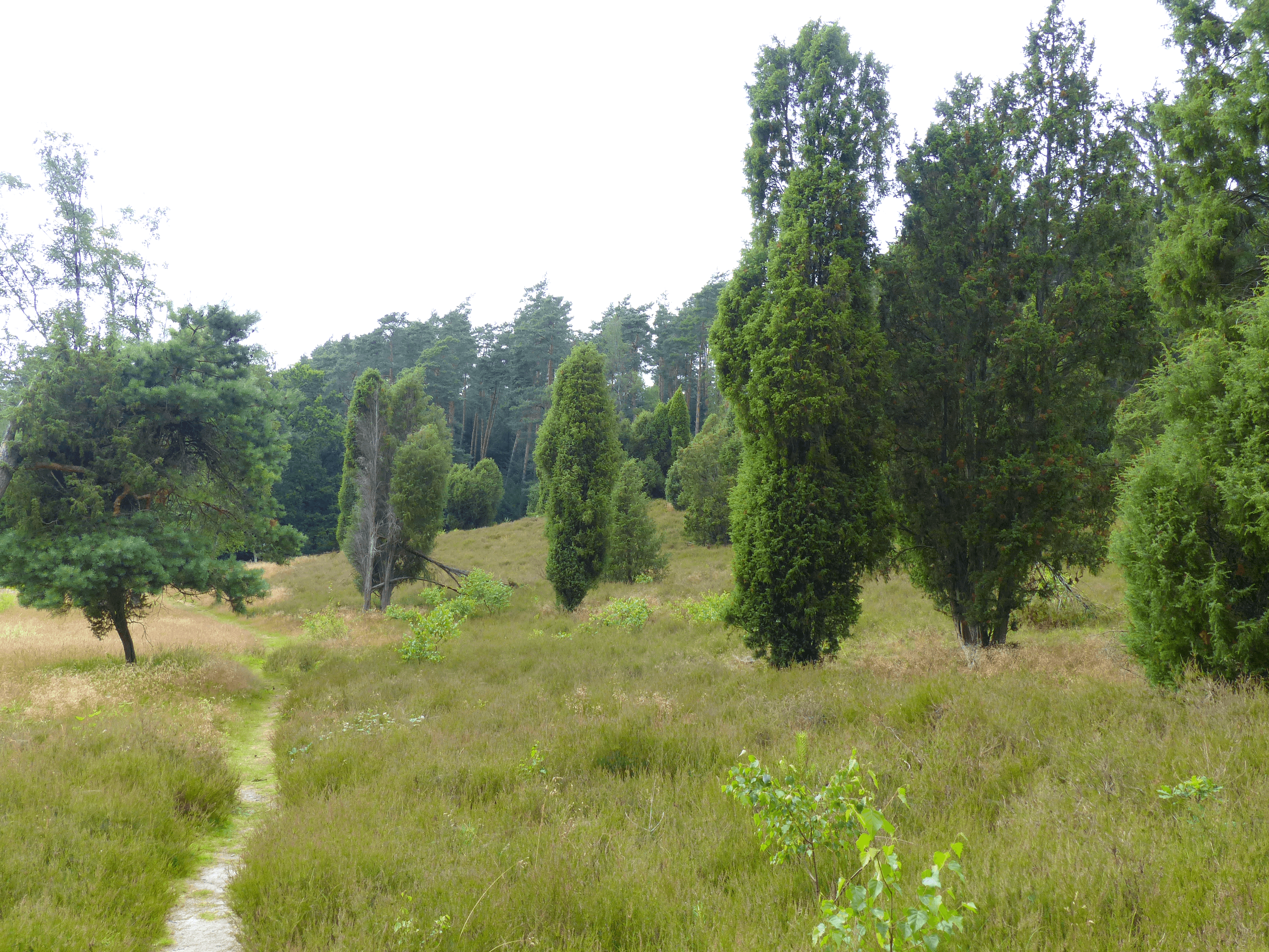 Naturwunder Nr. 4 Marxener Paradies