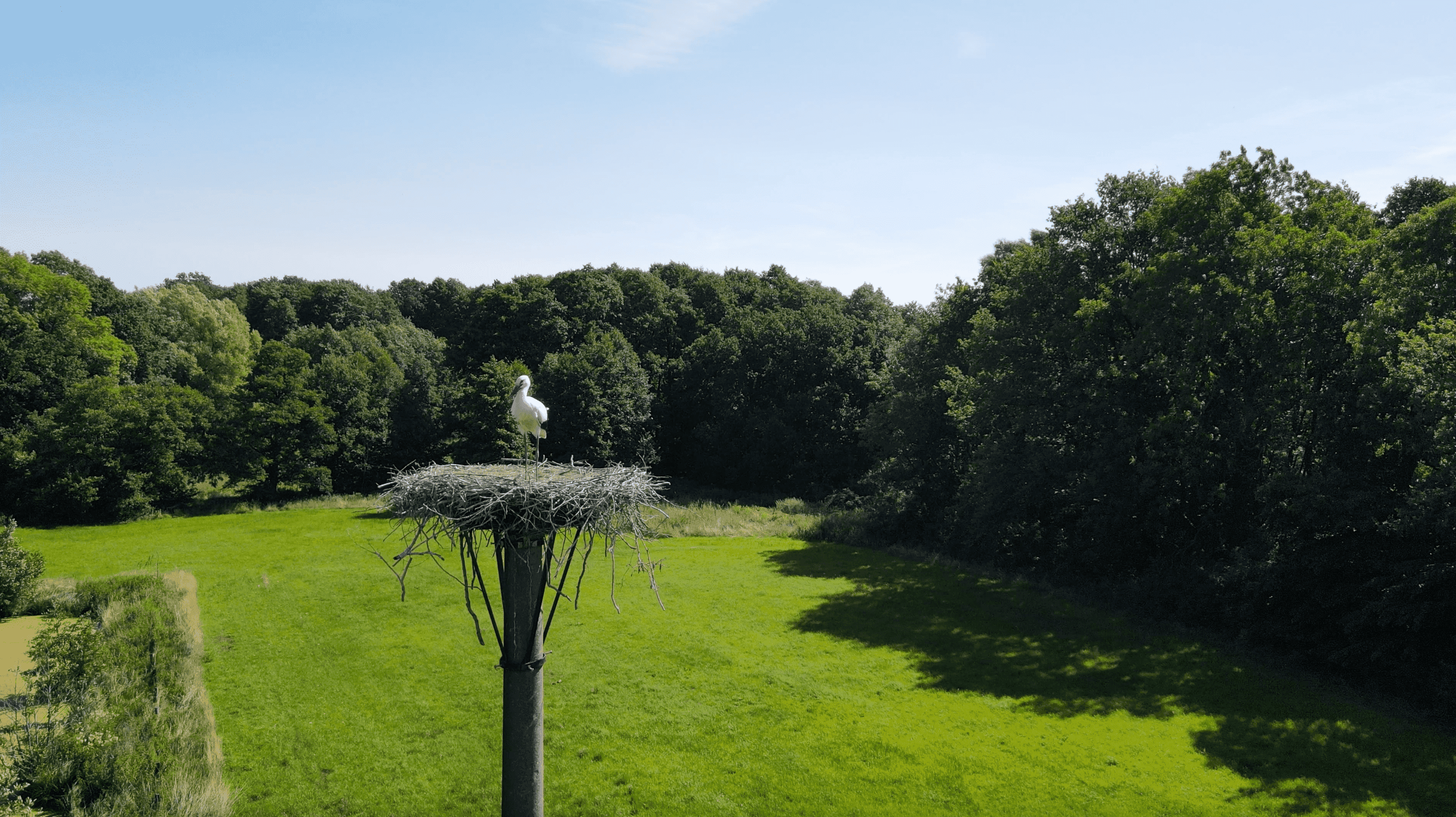 Neuland-Hof Spöring Walsrode Storchennest