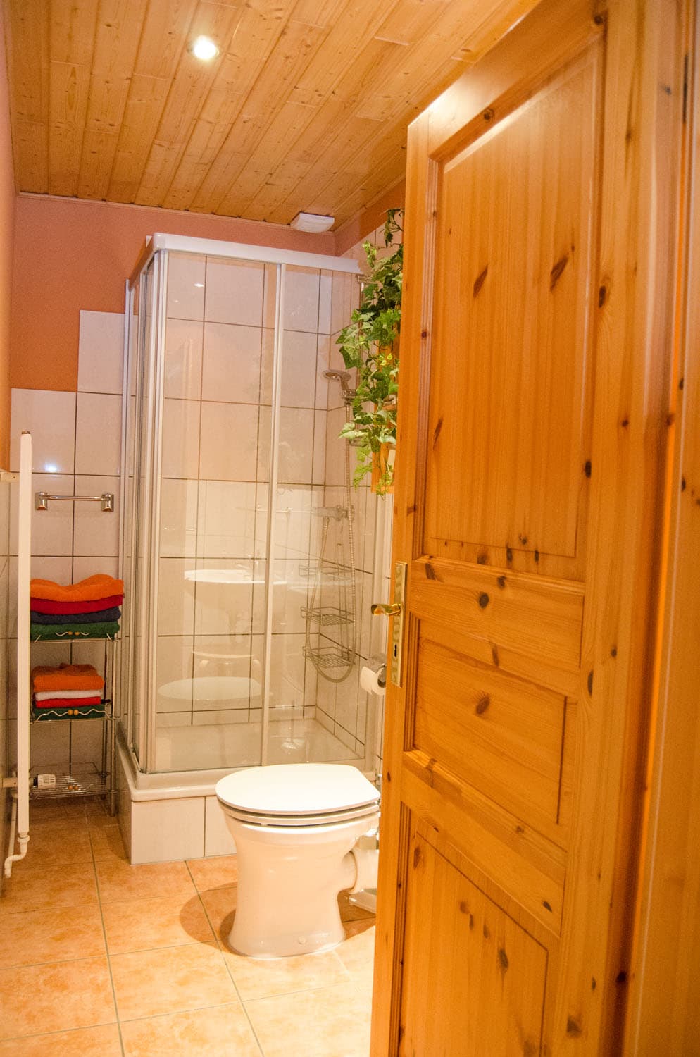 Neuland-Hof Spöring Ferienwohnung Apfelblüte Badezimmer