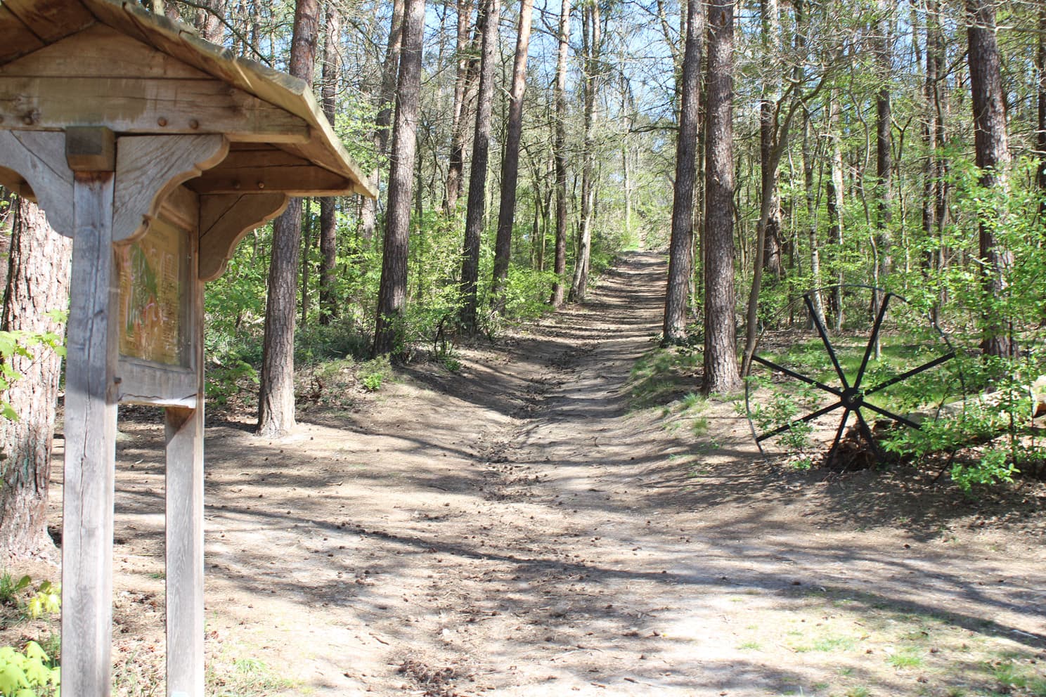 naturwunder-und-blicke_26-paaschberg