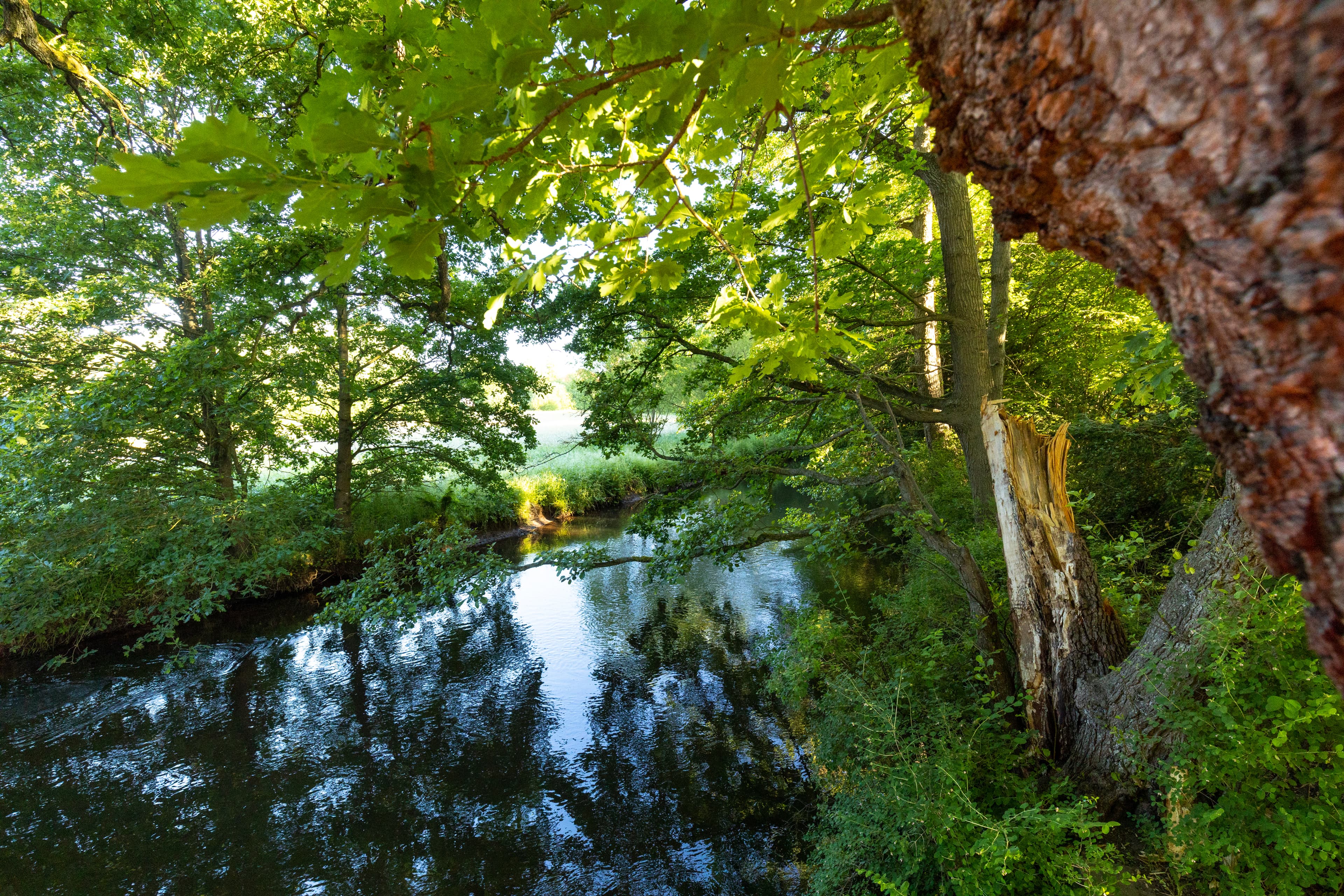 Die Örtze fließt durch den Park in Hermannsburg