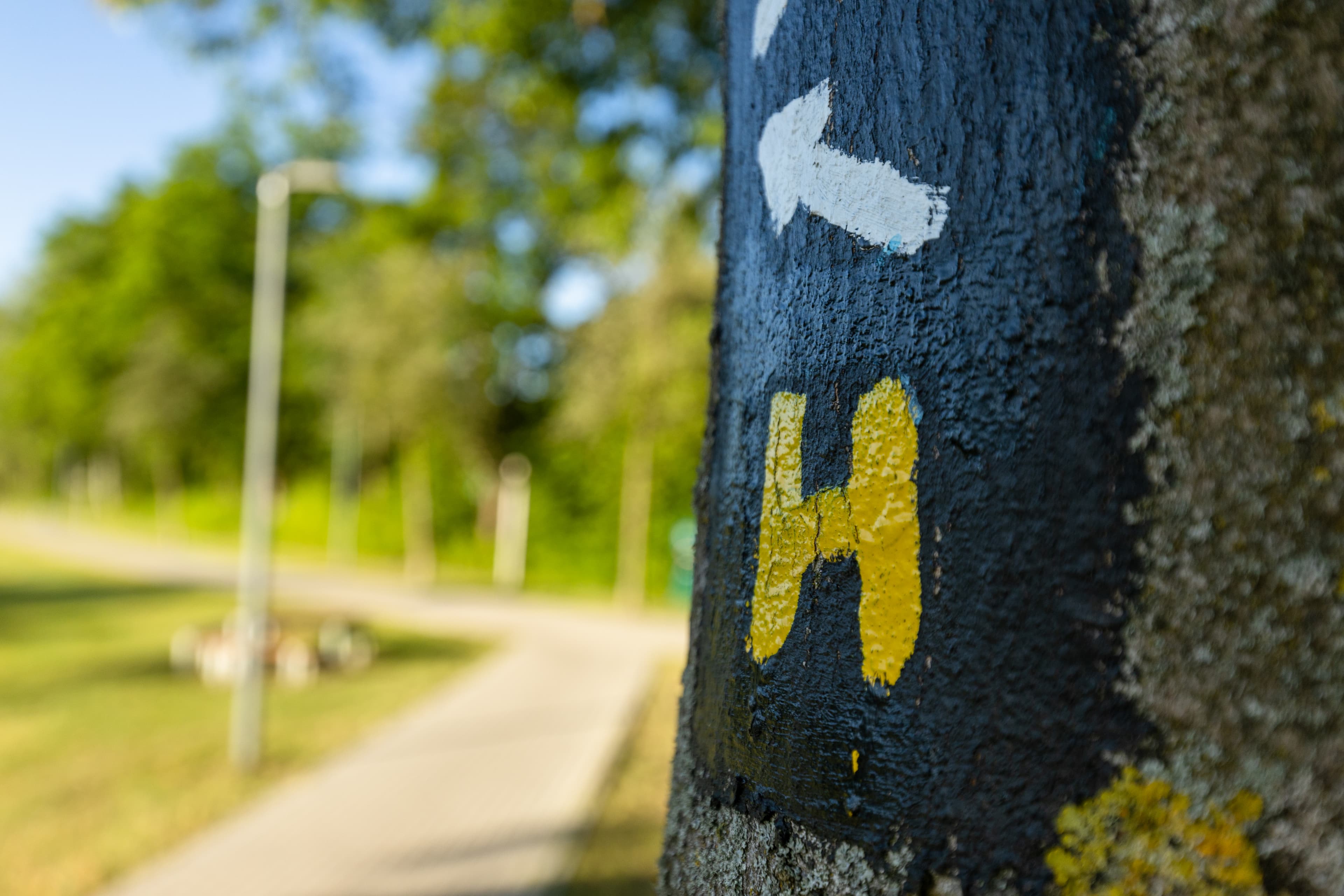 Der Heidschnuckenweg führt durch den Örtzepark in Hermannsburg