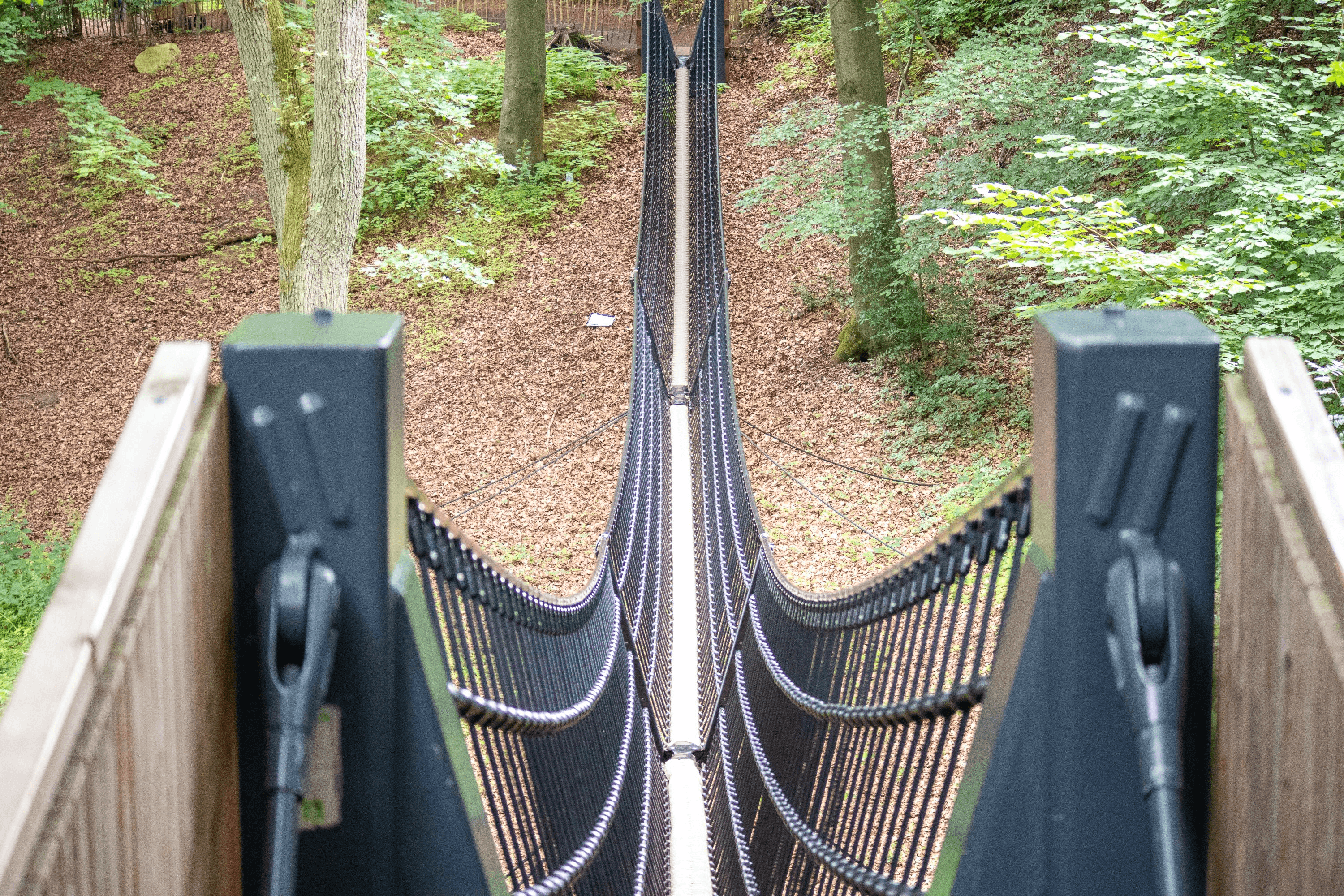 eine wackelige angelegenheit, die Hängebrücke im Barfusspark Egestorf