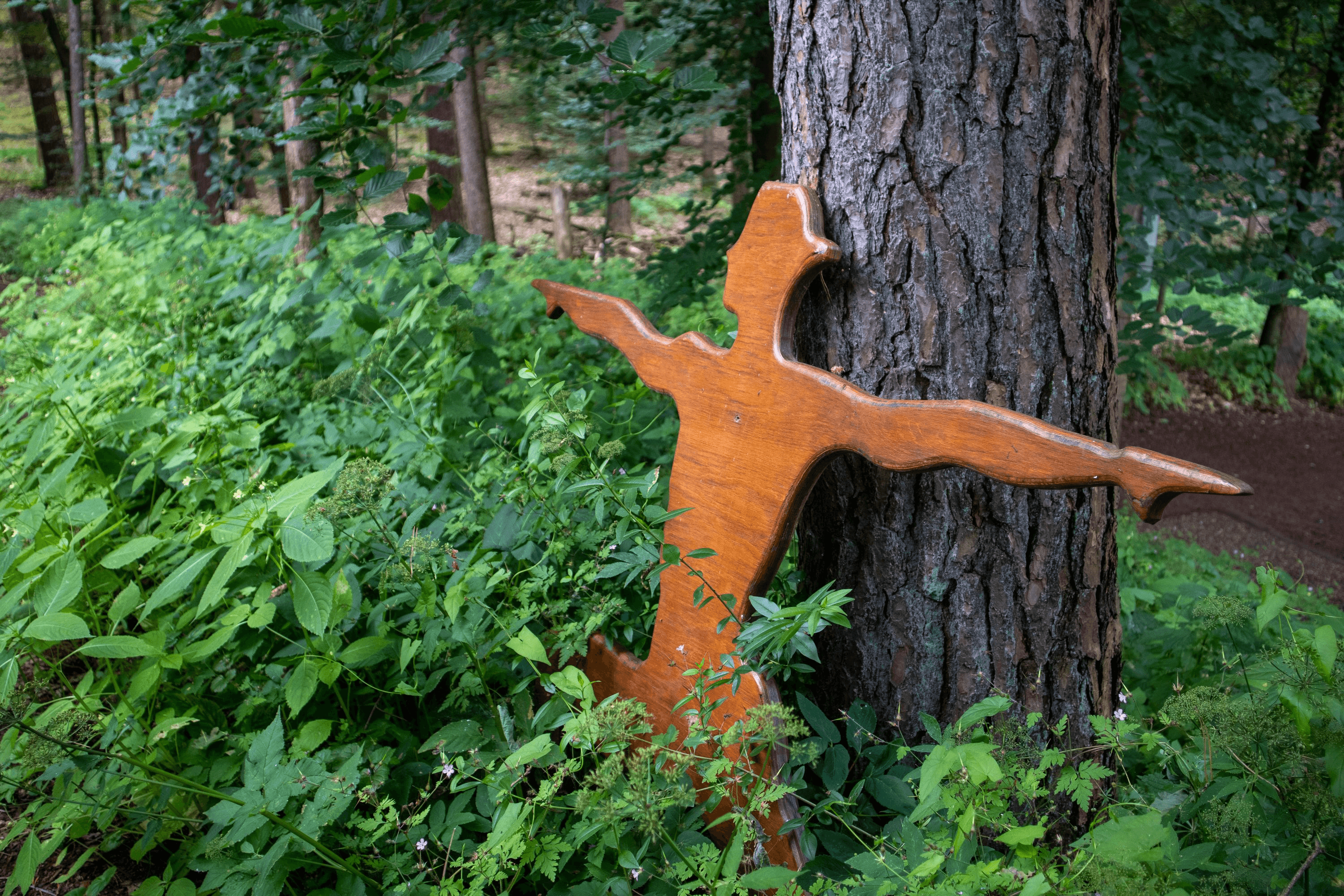 einmal durch den yoga wald im barfusspark lüneburger heide