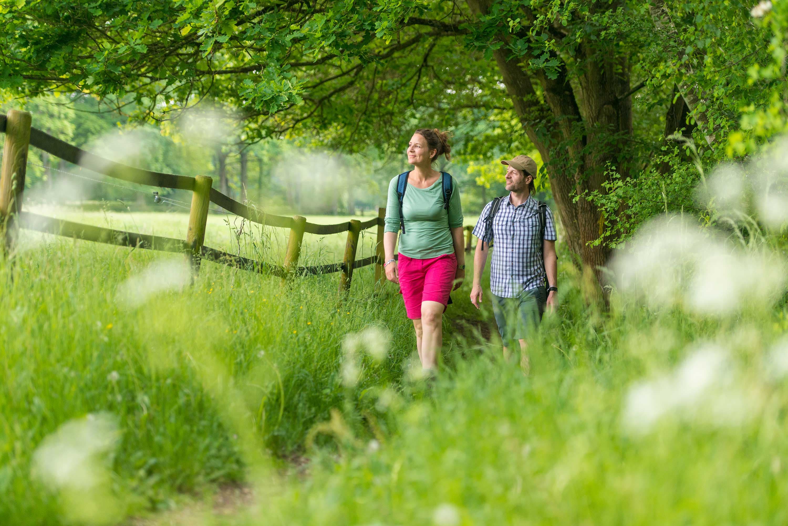 Ein Tag wandern in der Lüneburger Heide auf unseren kurzen Wanderwegen