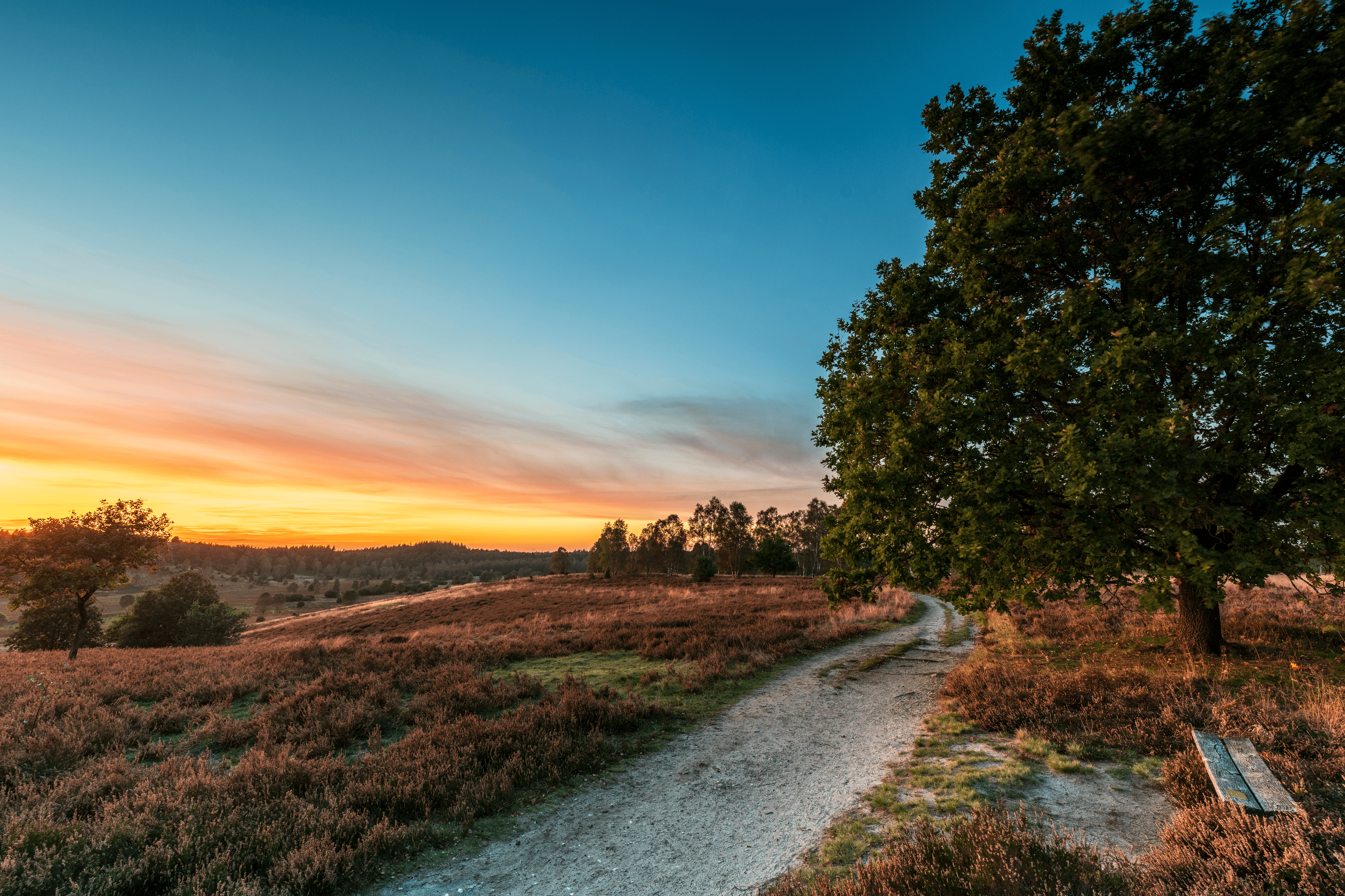 Die heide in niederhaverbeck am abend