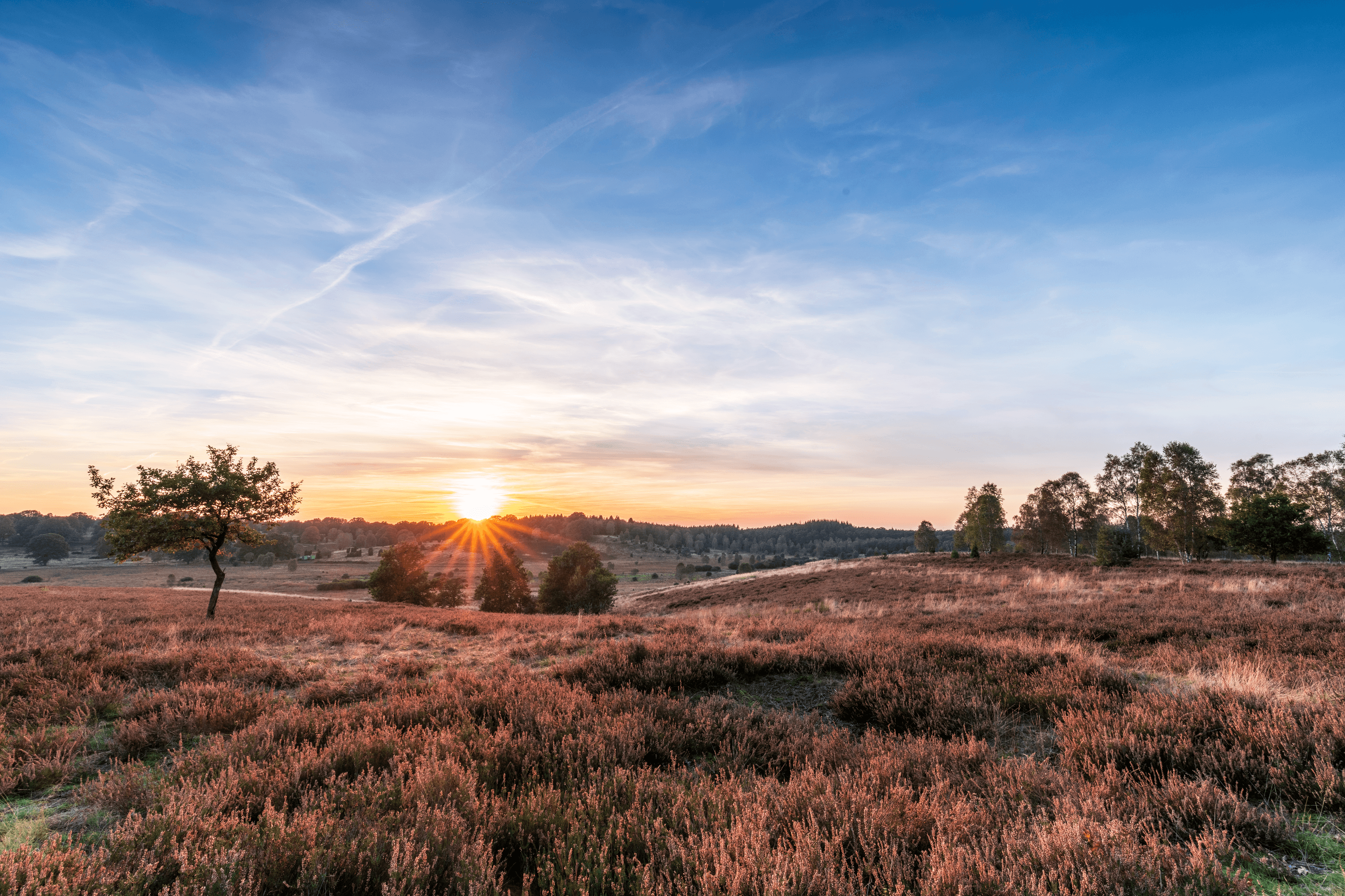 abends unterwegs in der niederhaverbecker heide am suhorn