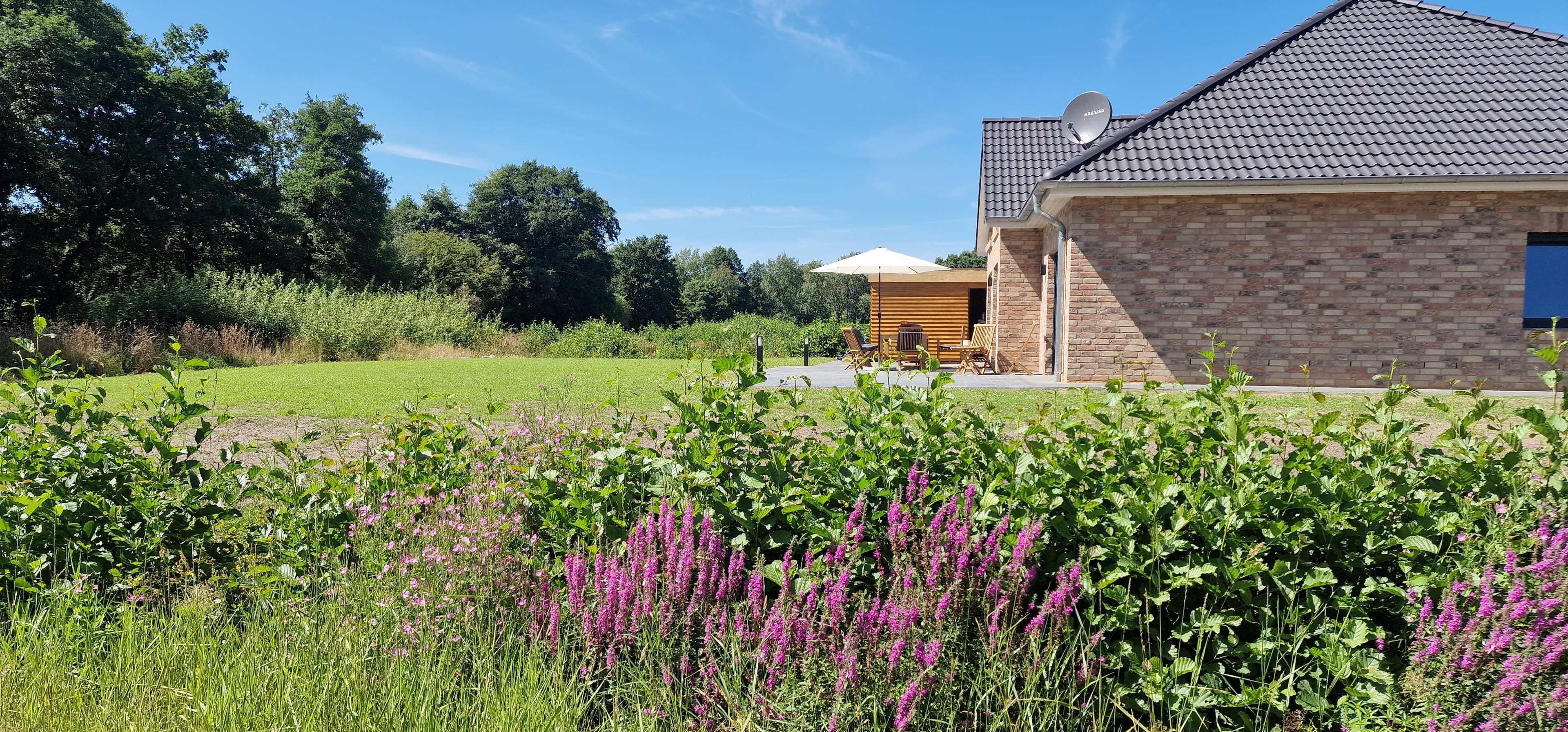 Ferienhaus Wiesenblume in schöner Natur Wietzendorf