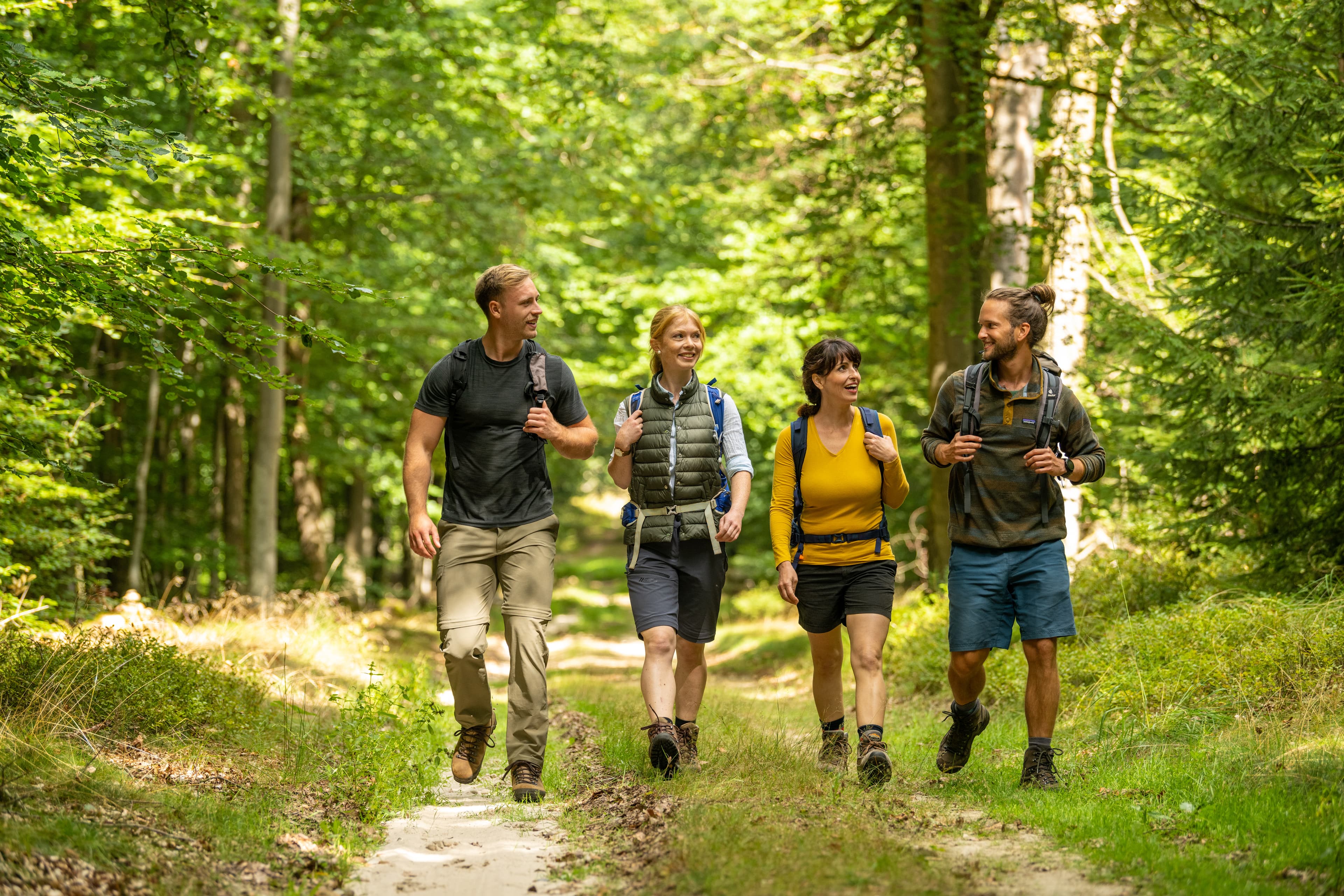 Gruppe wandert im Lüßwald in der Südheide