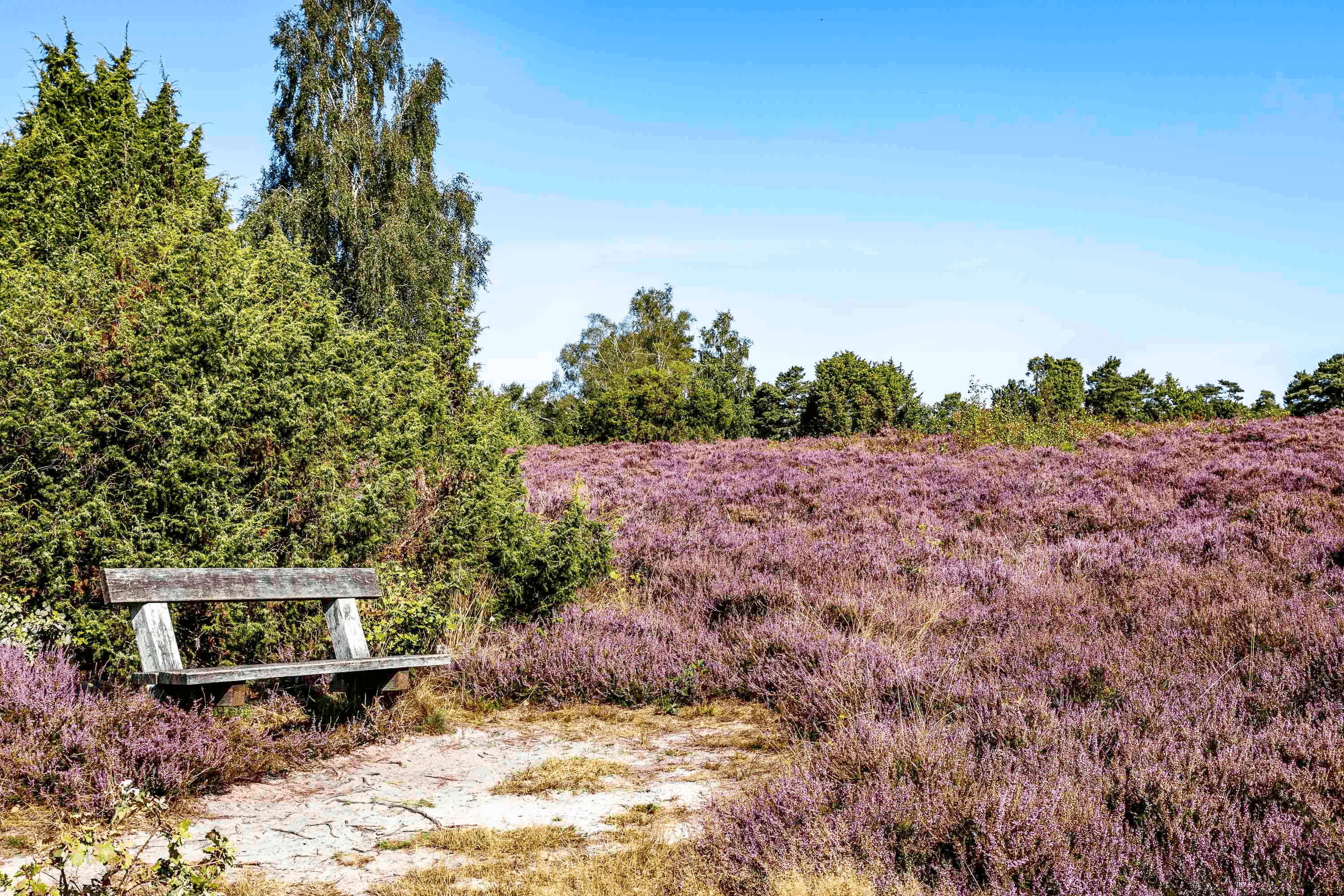 Wandern am Wietzer Berg ist toll, aber man braucht auch eine Pause