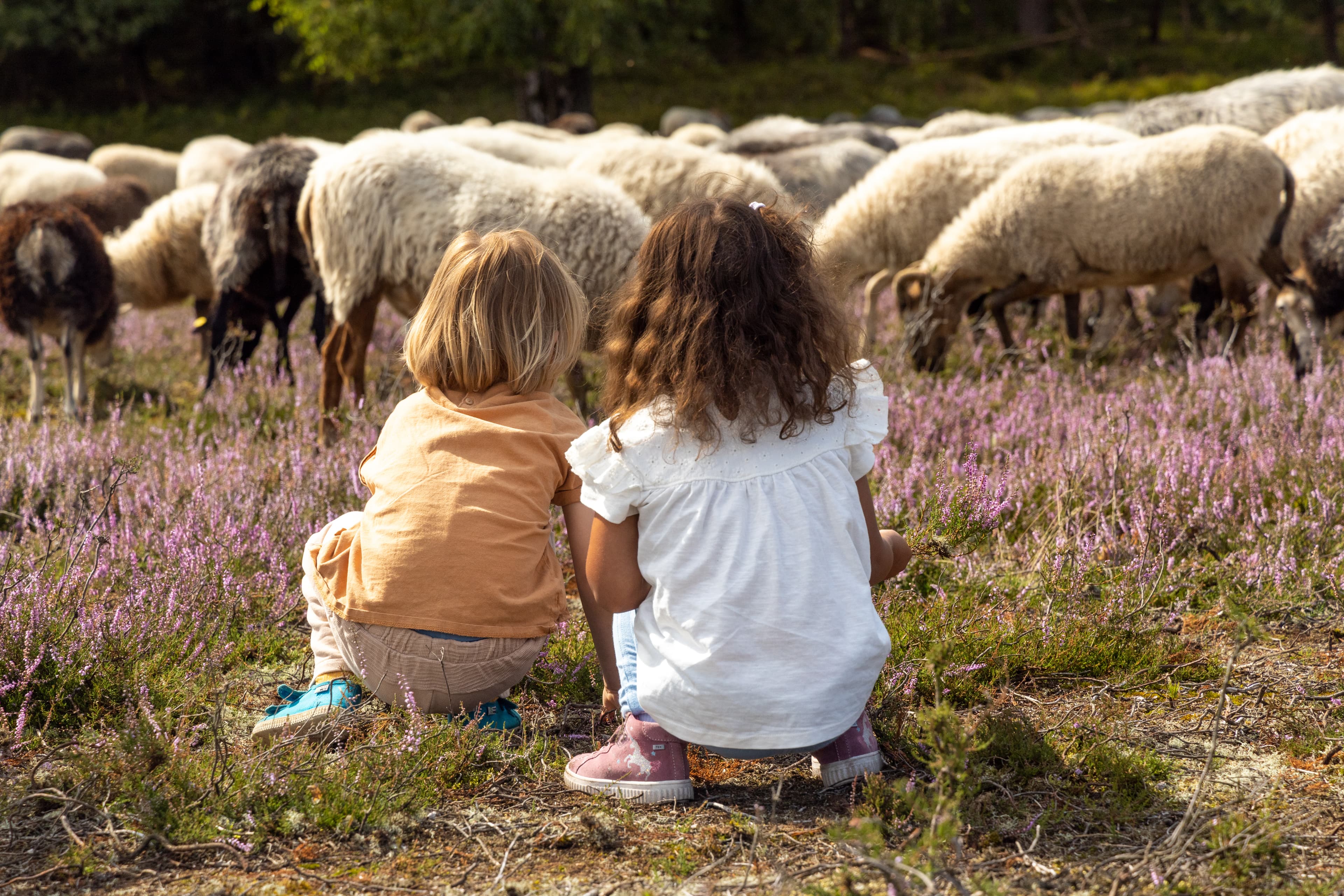 Kinder in der Heide