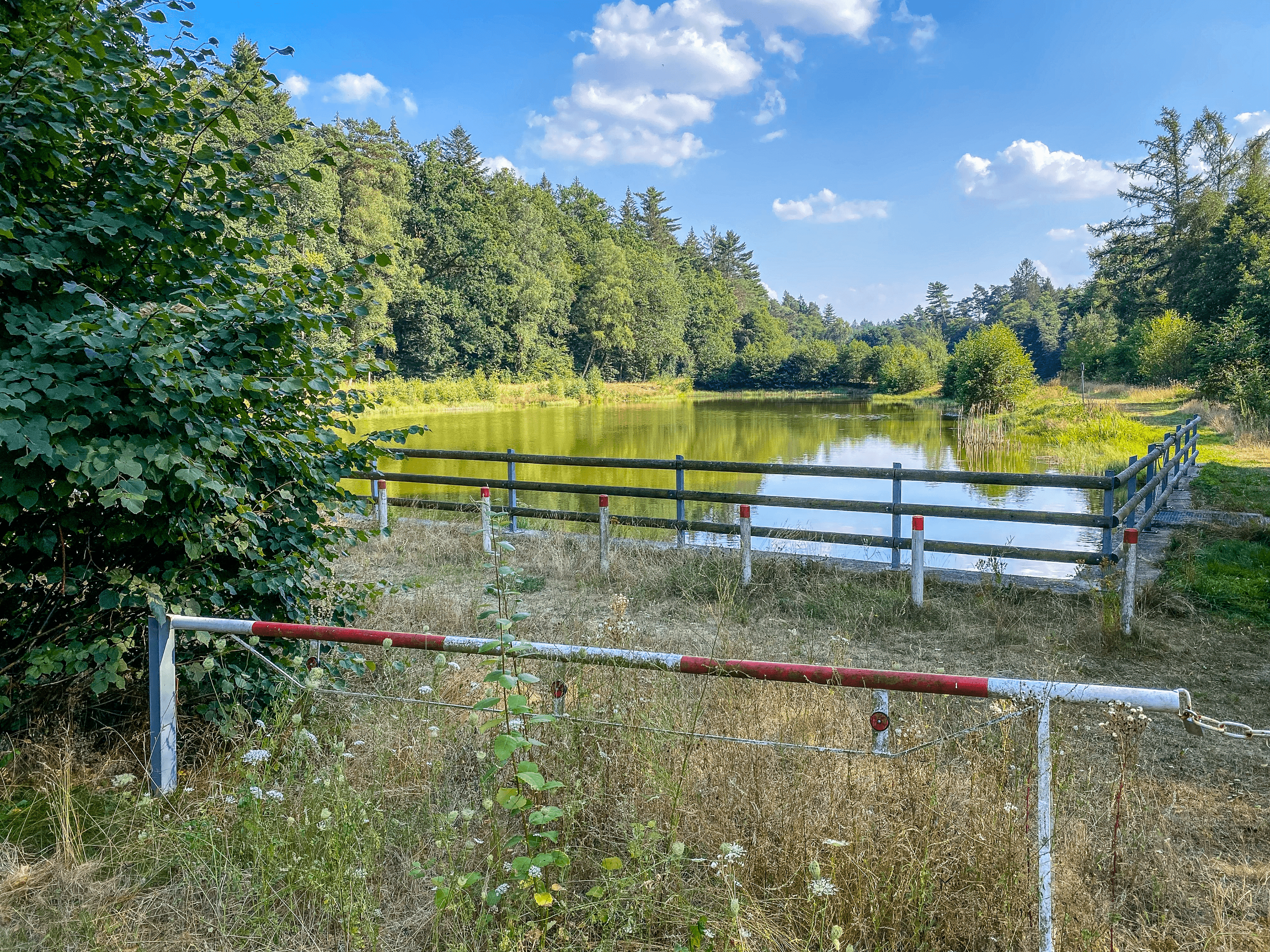 kleiner See in Lopau, dem lost place