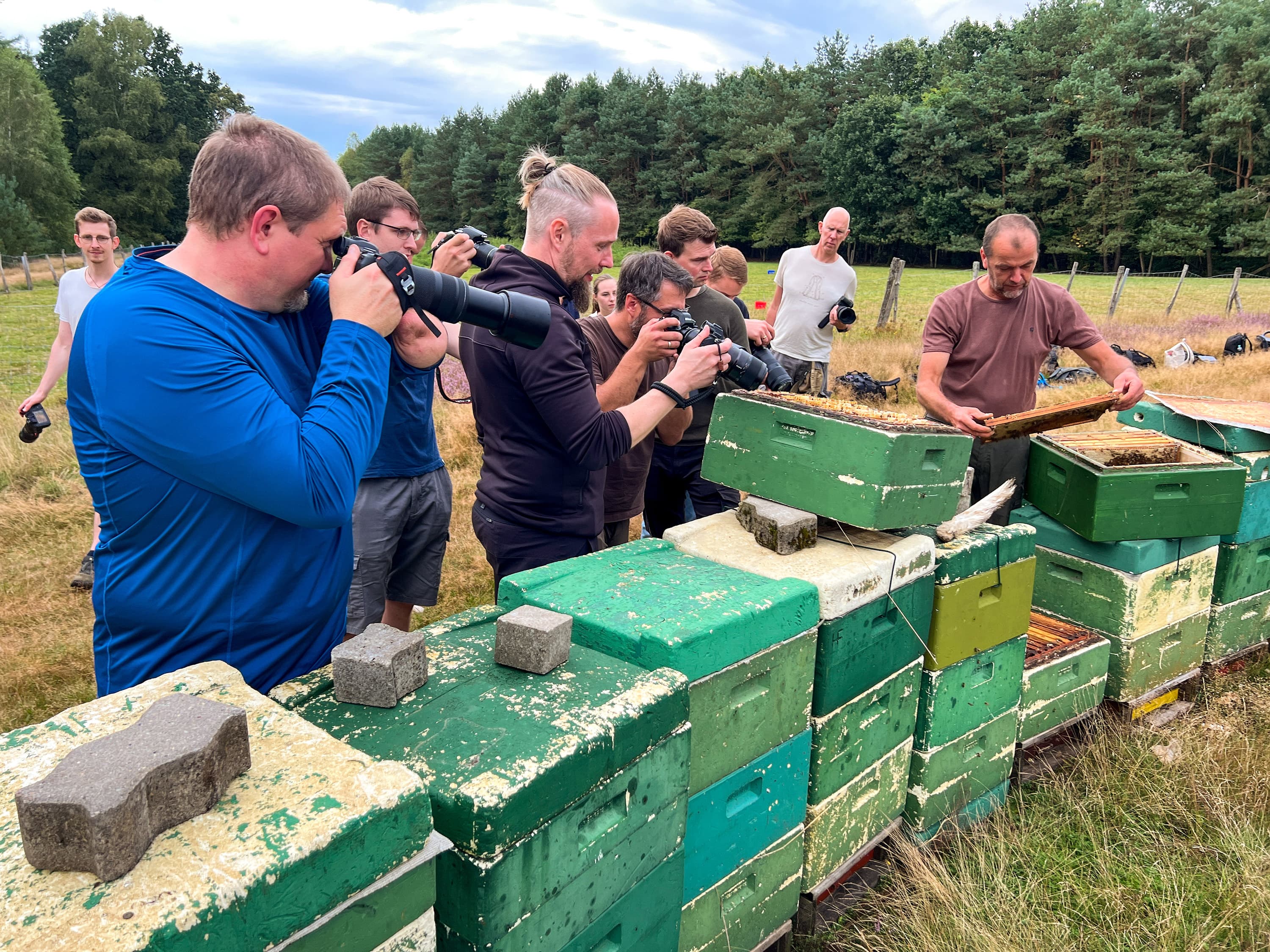eine gruppe fotografen fotografiert bienen bei der honigproduktion