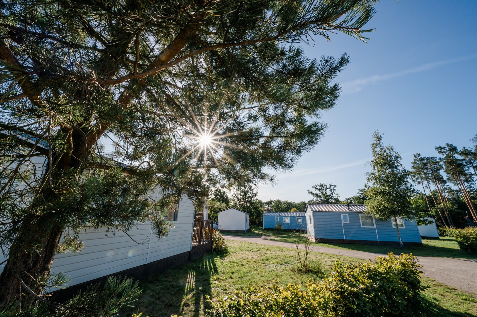 die chalets auf dem campingpark südheide
