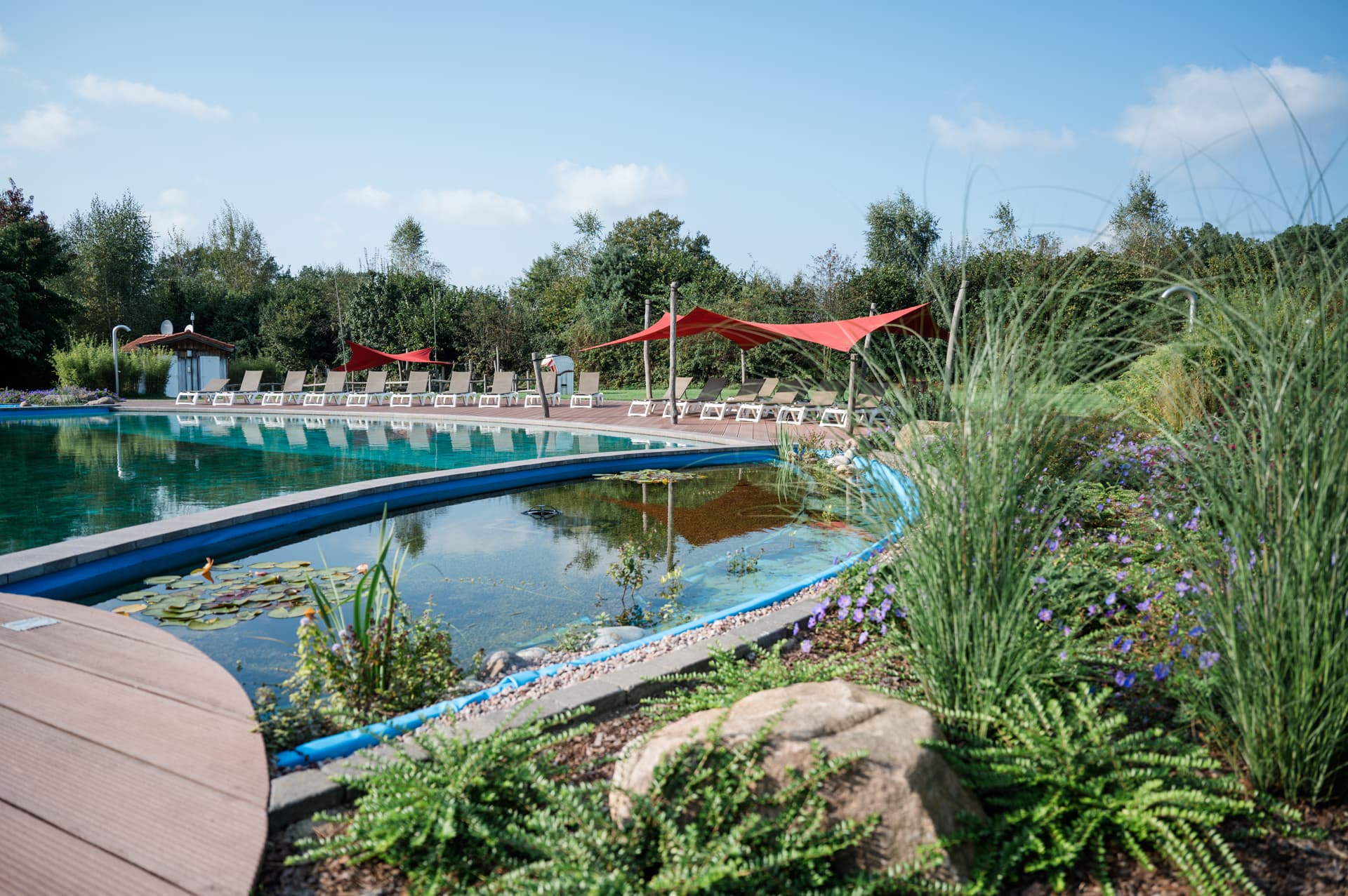 baden kann man im schwimmteich des campingplatzes südheide