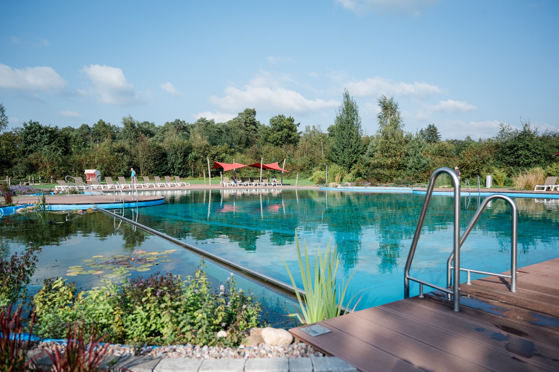 schwimmen im natur badeteich auf dem campingpark südheide