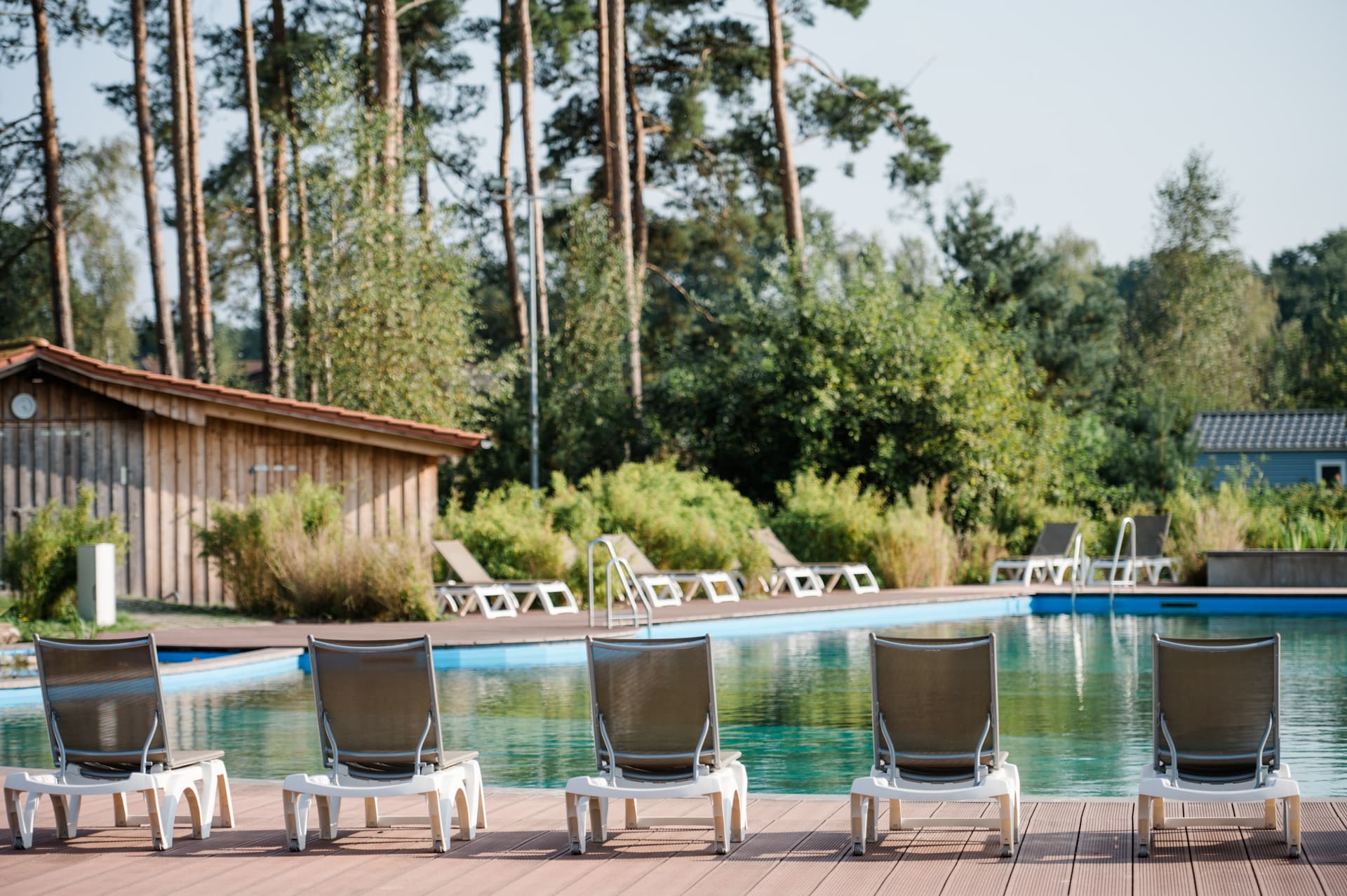 Naturschwimmteich Campingpark Südheide