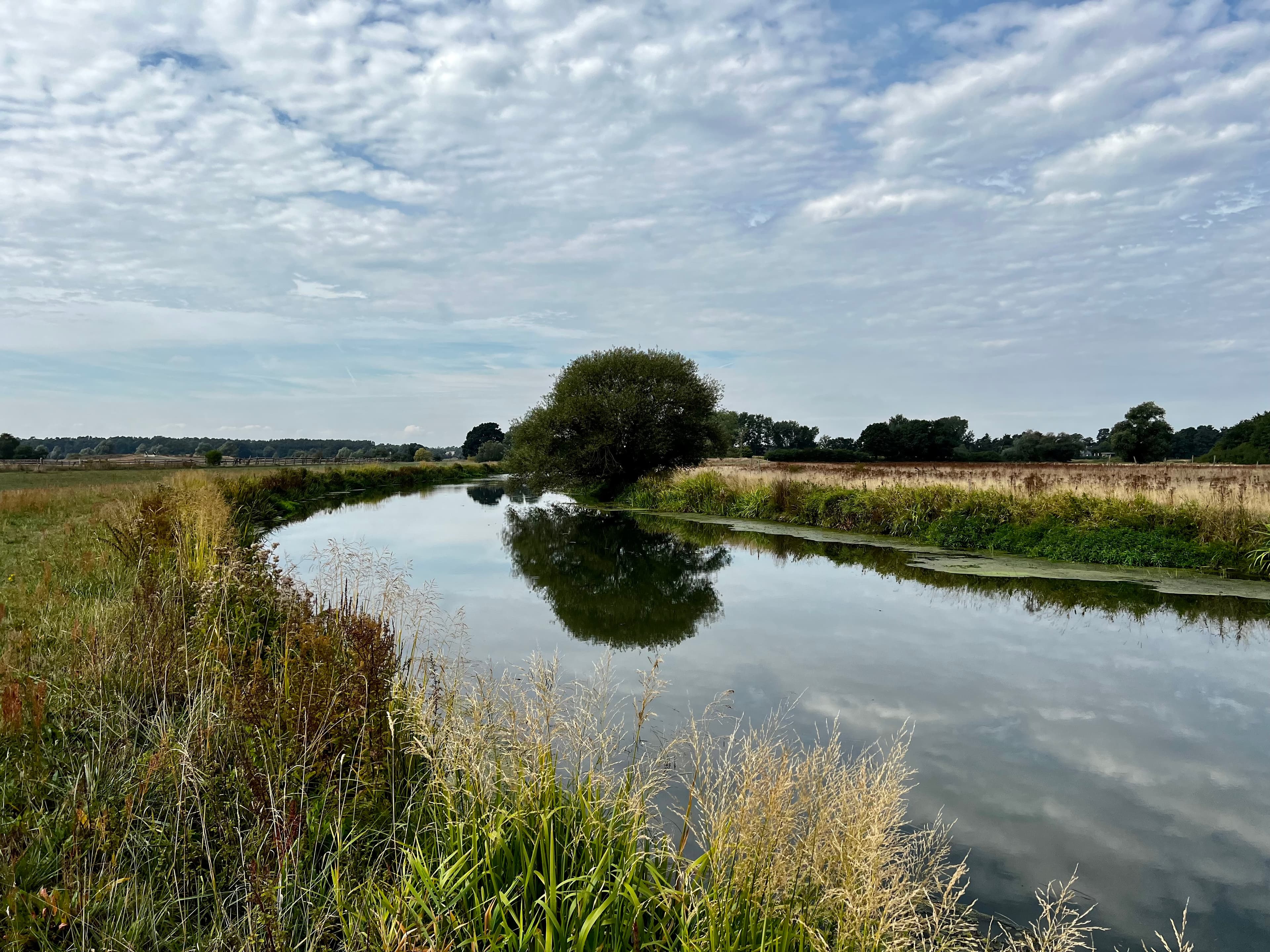 Der Fluss Aller