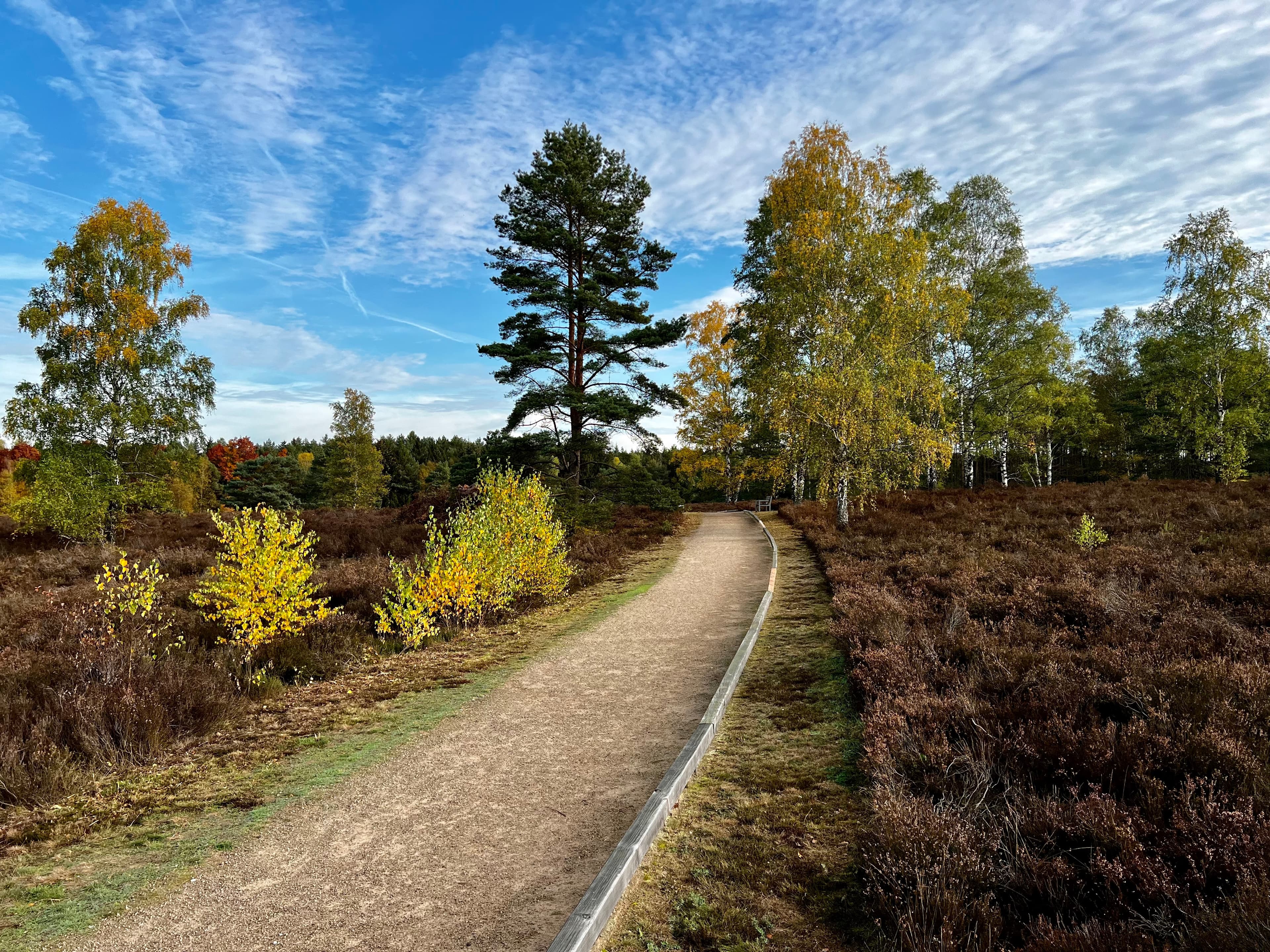 Wanderweg im Herbst