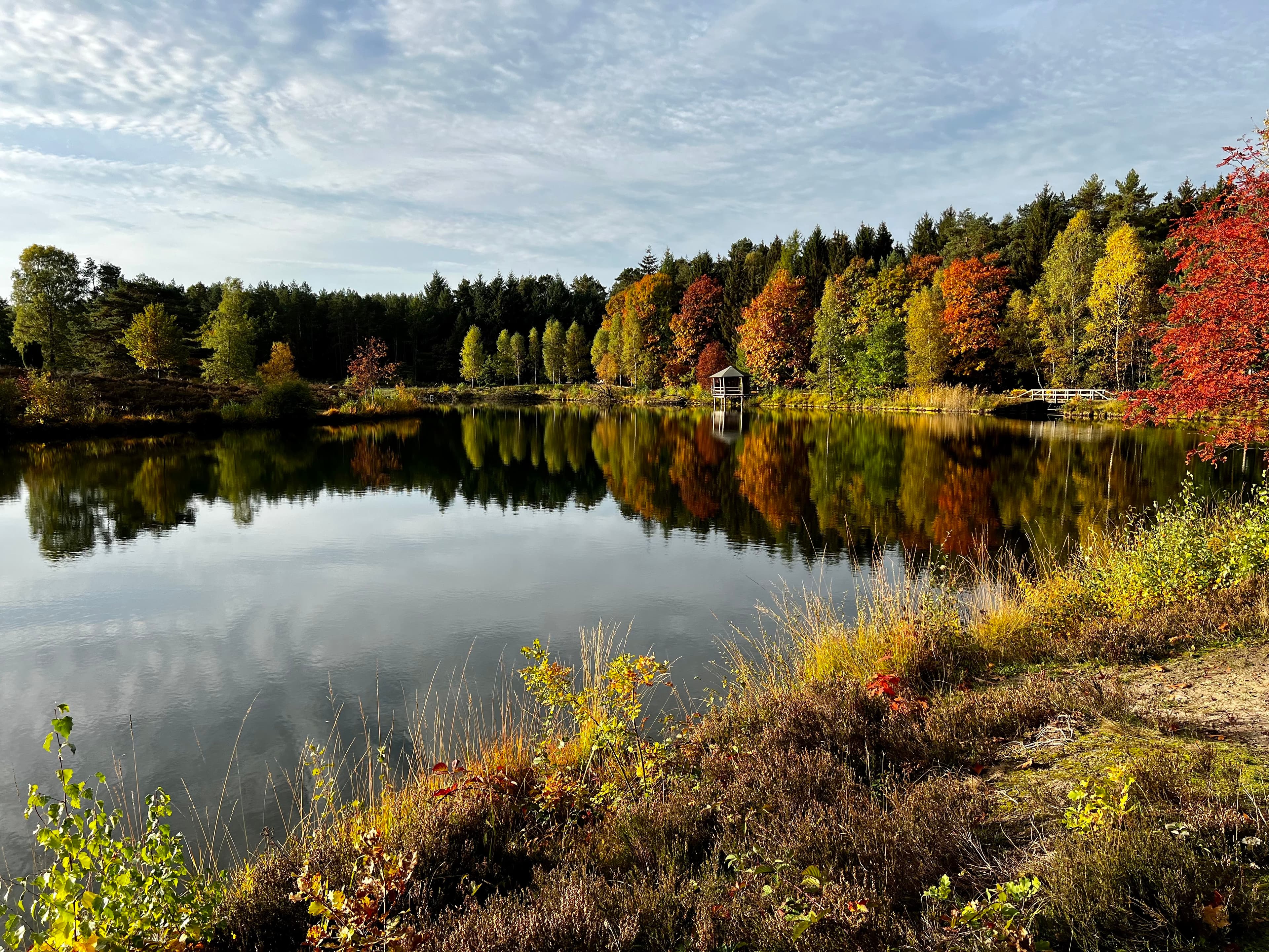 Angelbecksteich im Herbst