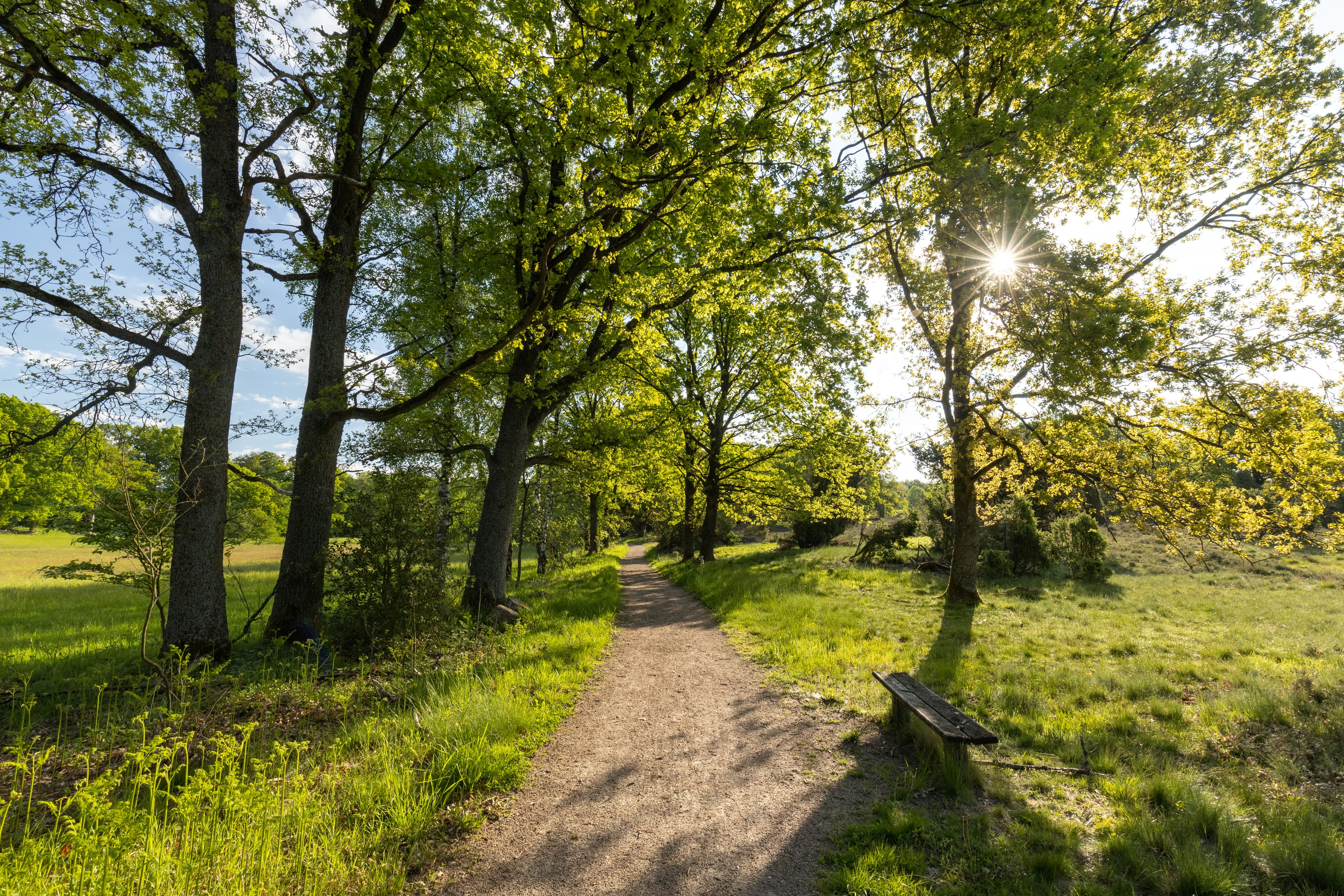 Wandern auf der Heideschleife Haverbeeke
