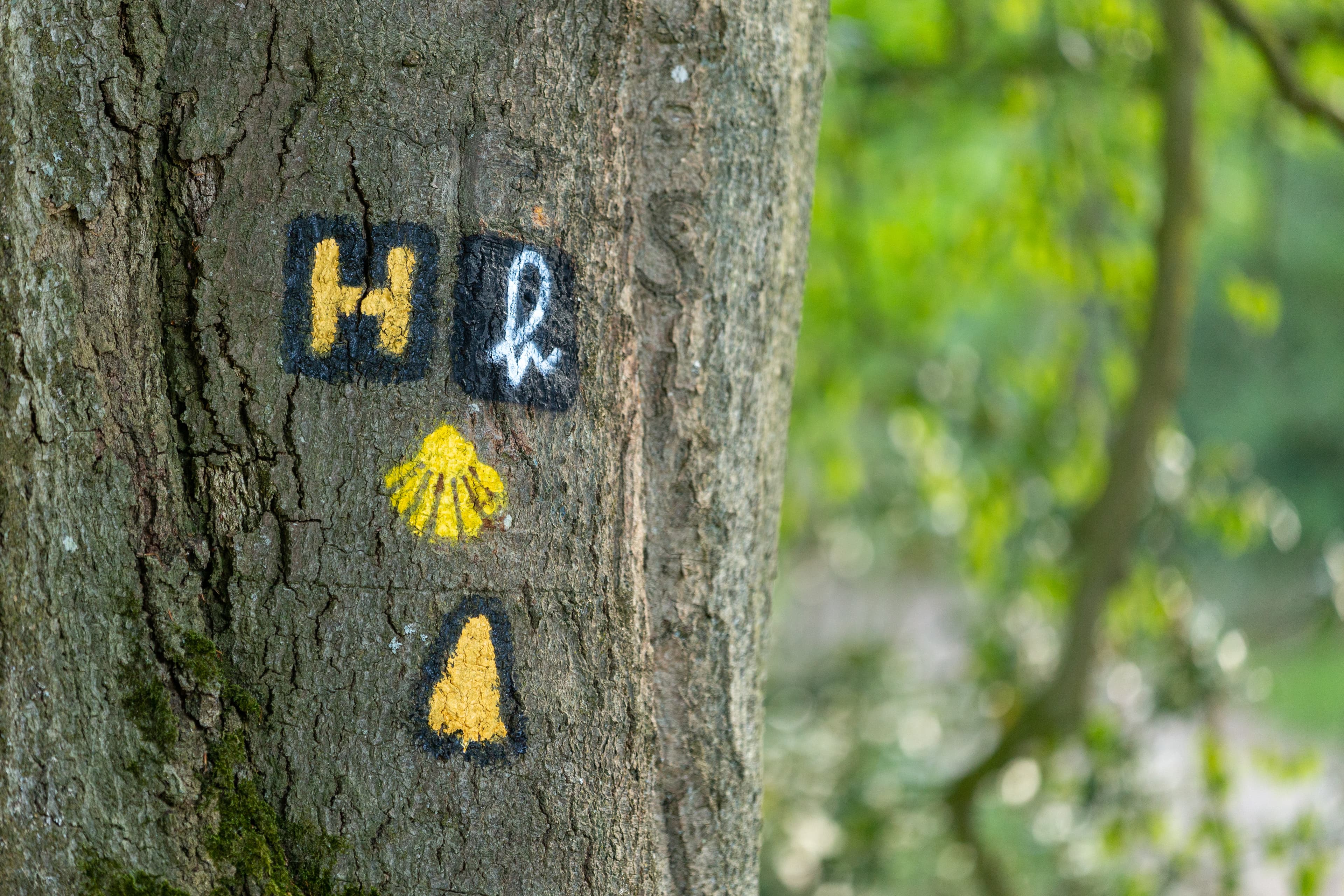 Wegweiser auf der Heideschleife Haverbeeke