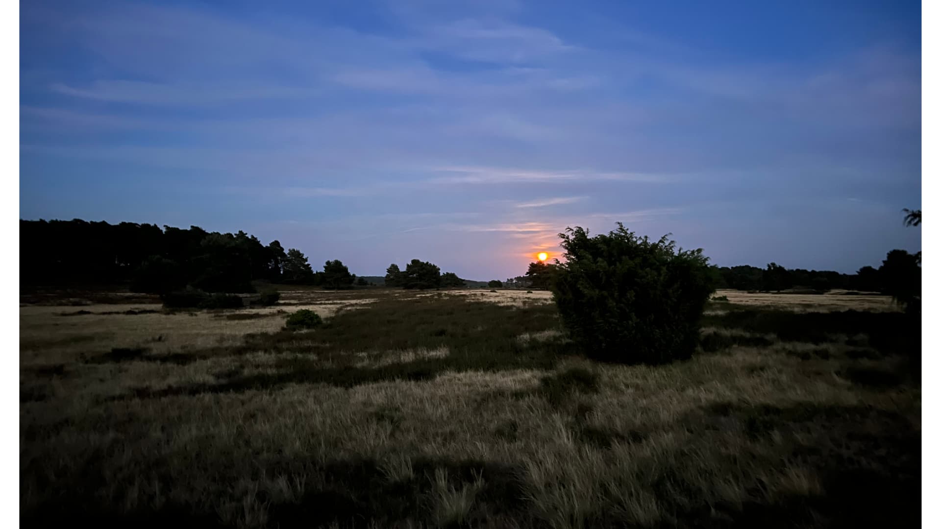 Vollmond über einer Heidefläche in der Lüneburger Heide