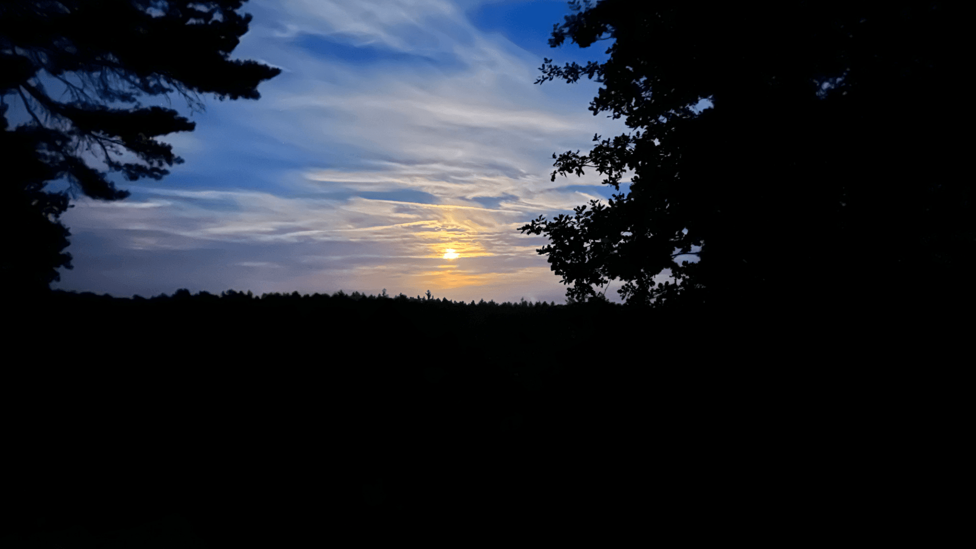 Vollmondwanderung am Heidschnuckenweg