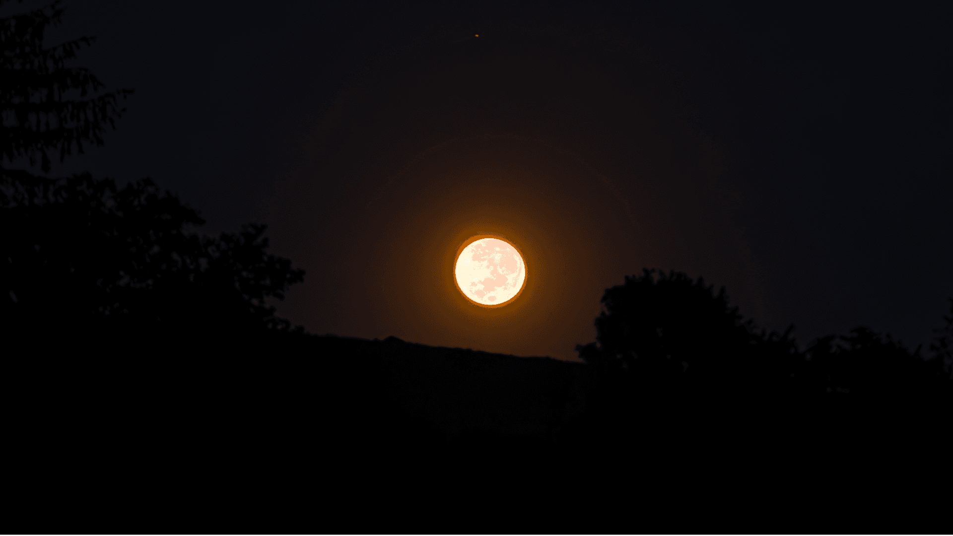 Vollmond in der Lüneburger Heide