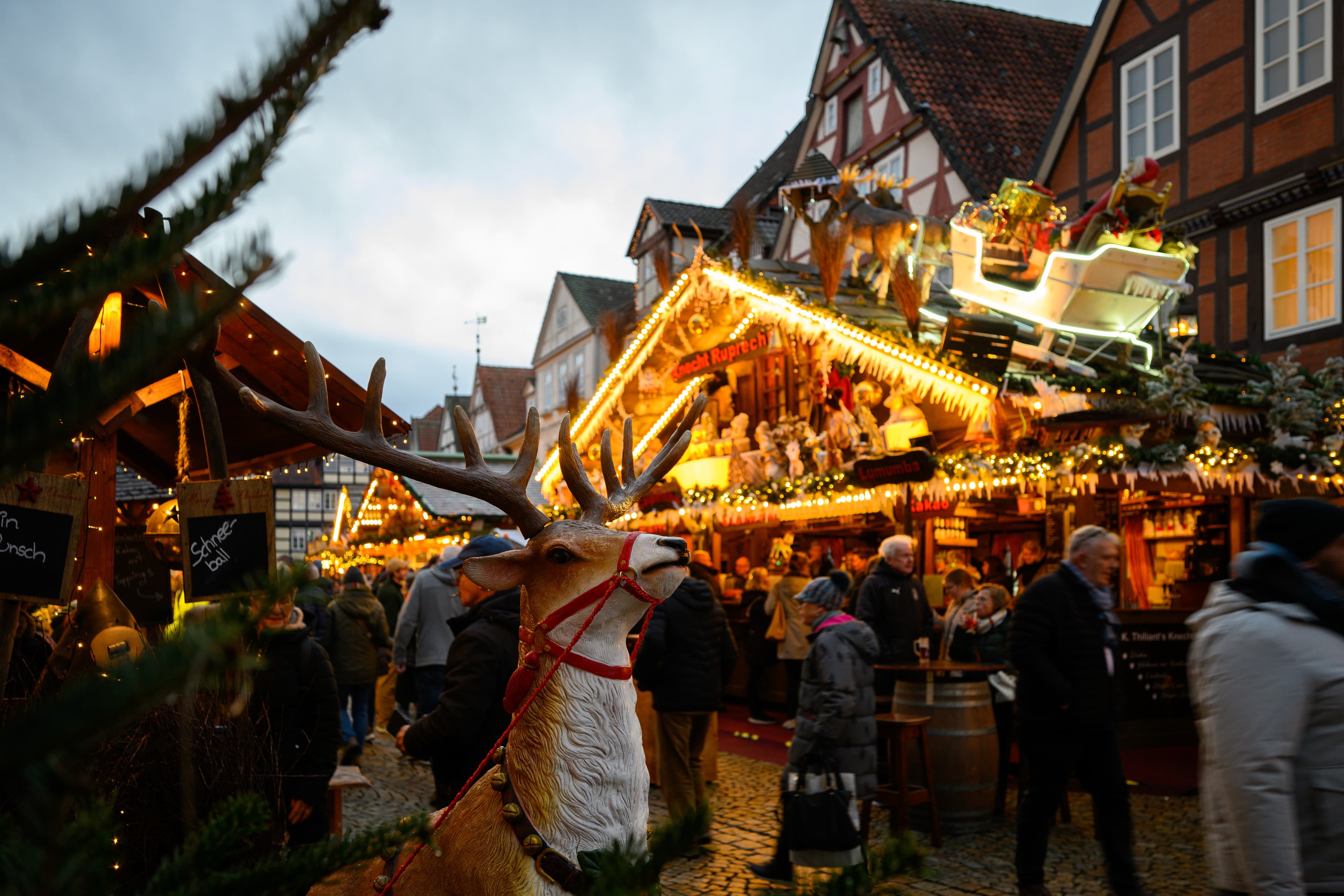 Rentier auf dem Weihnachtsmarkt Celle in den Weihnachtsferien