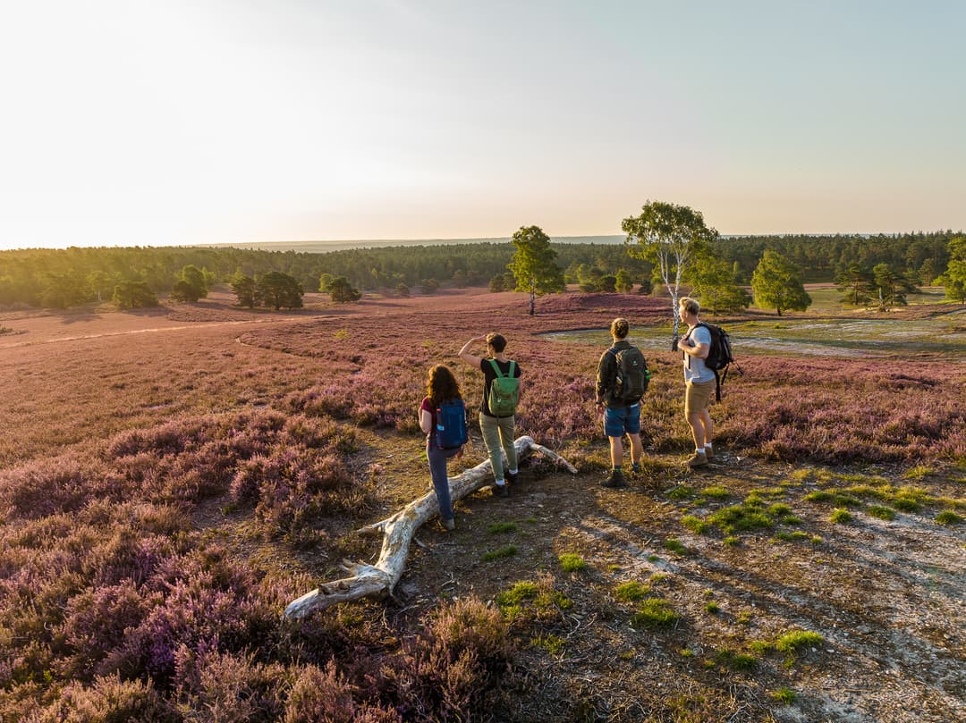 Die 10 schönsten Aussichtspunkte am Heidschnuckenweg | Lüneburger Heide