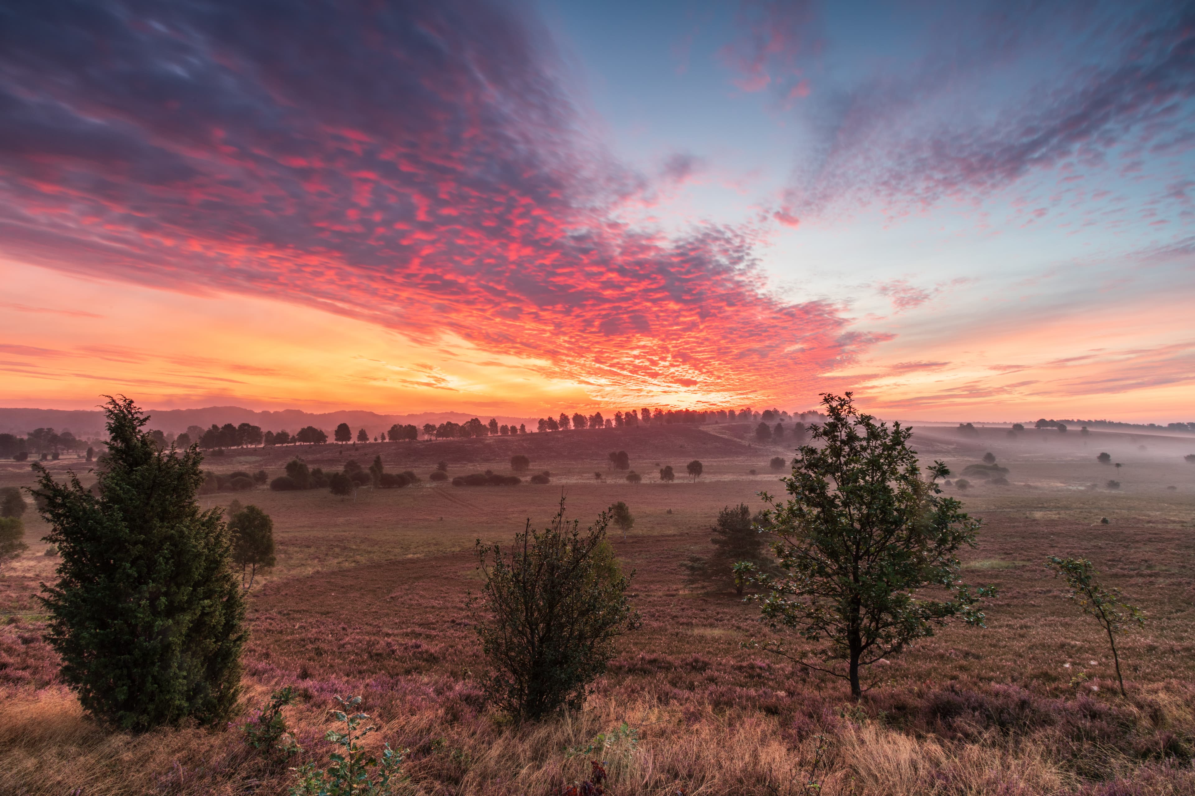 Bispingen Niederhaverbeck Wümmeberg