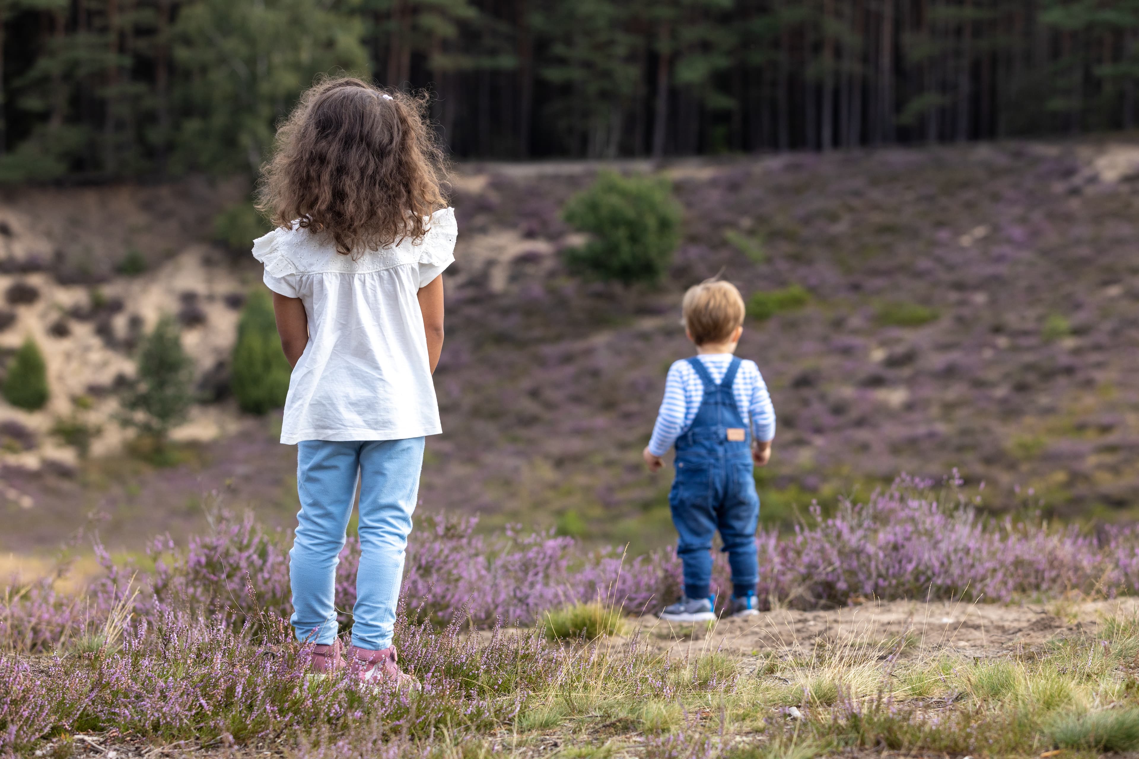 Familie Kinder Kinderwagen Heideblüte