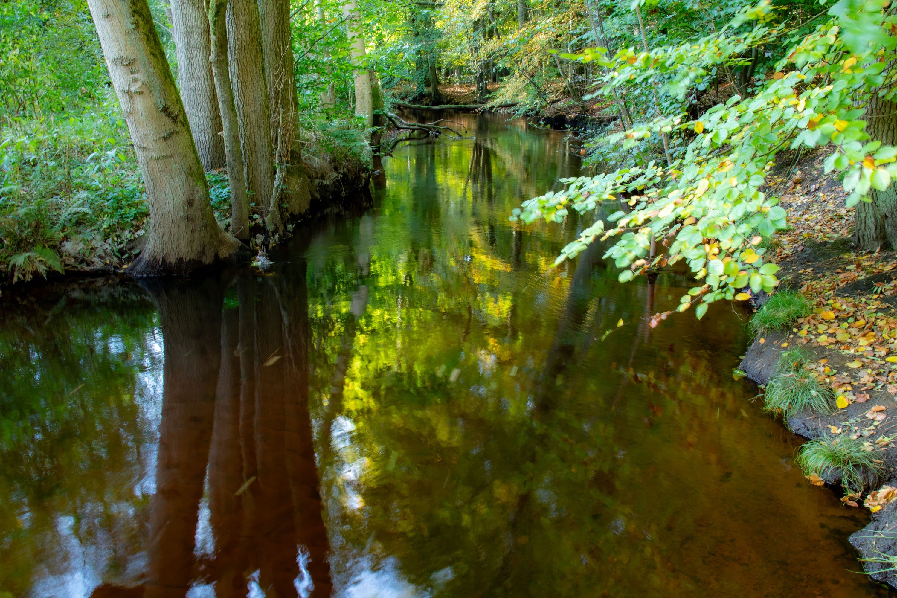 Wanderweg W23 im Frühherbst