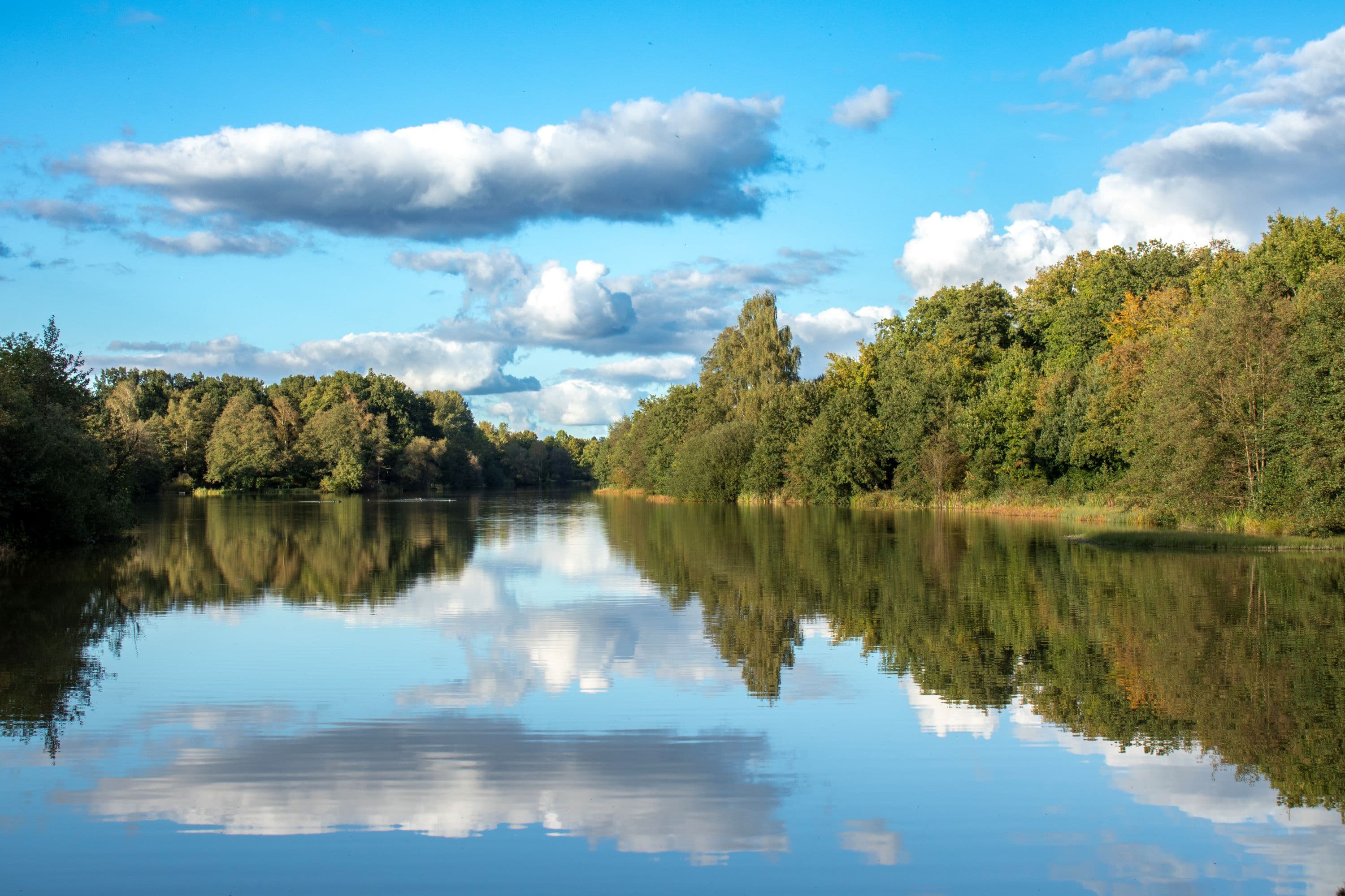 Wolken spiegeln sich im Heidesee in Müden (Örtze)