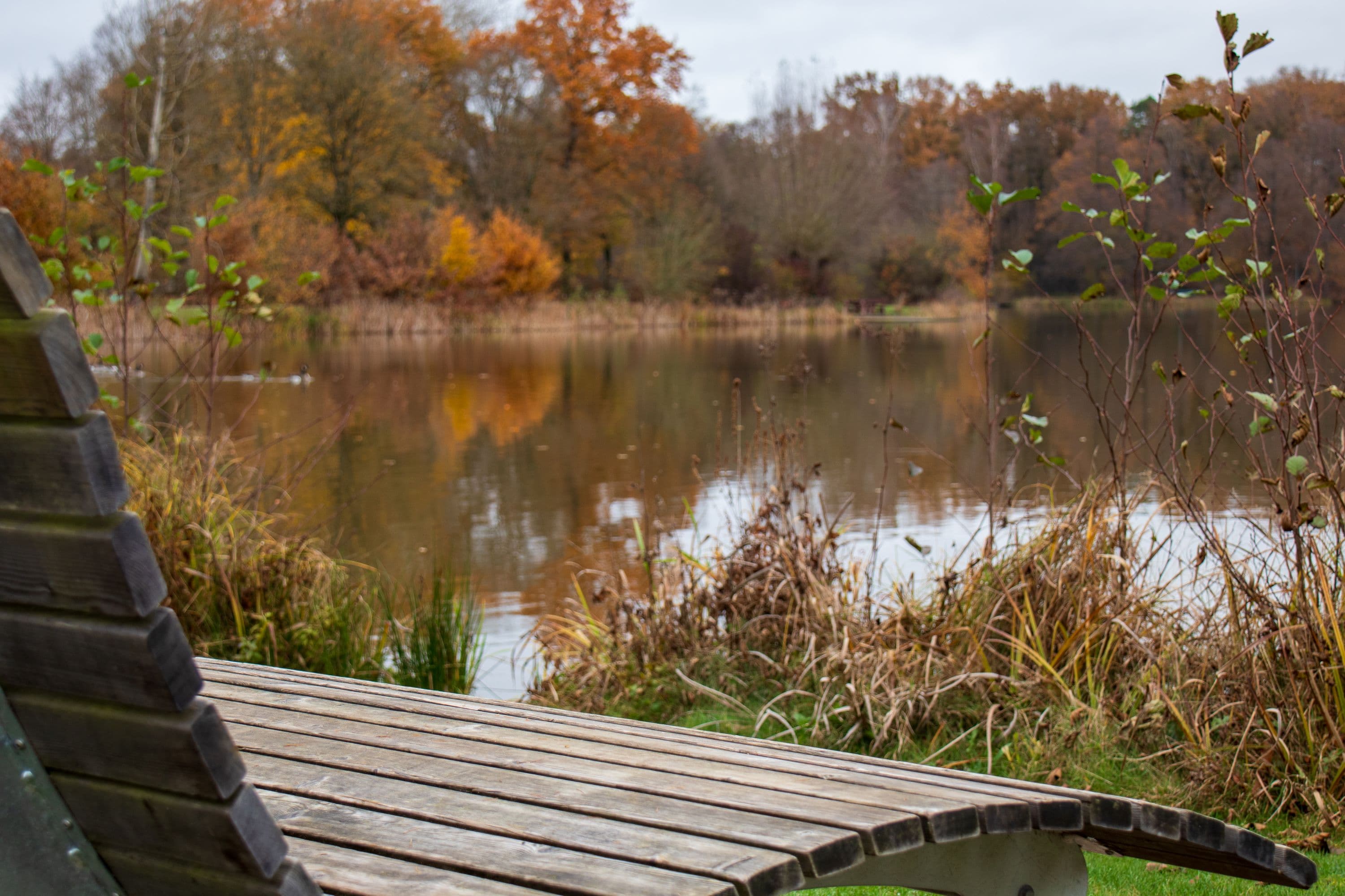Im Herbst am Heidesee in Müden (Örtze)