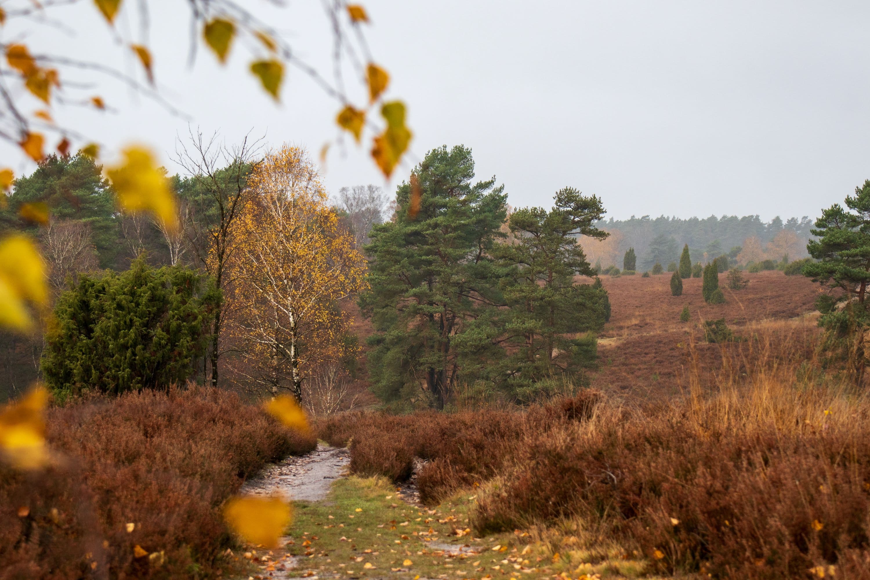 Herbstlicher Weitblick im Tiefental